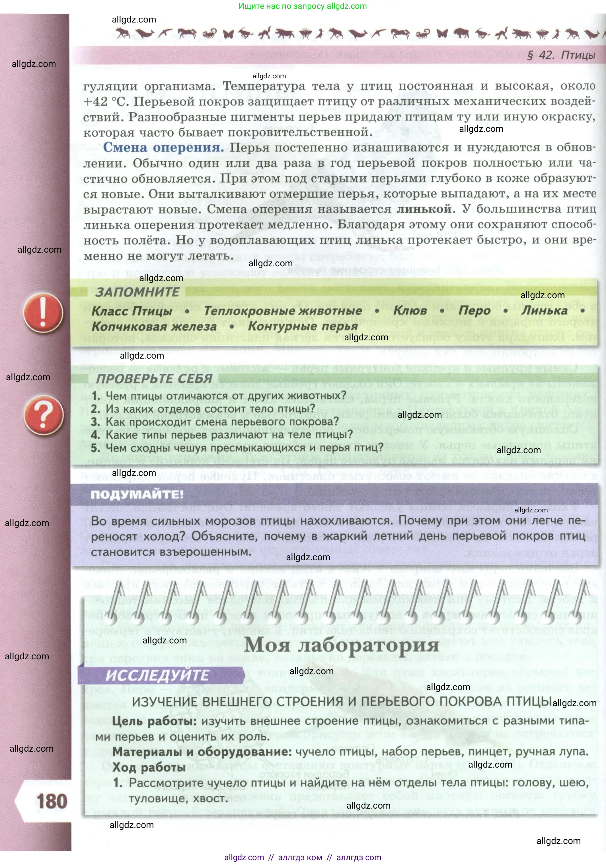 Биология, 8 класс Учебник, авторы: Пасечник Владимир Васильевич, Суматохин Сергей Витальевич, Гапонюк Зоя Георгиевна, издательство Просвещение, Москва, 2023, белого цвета, страница 180