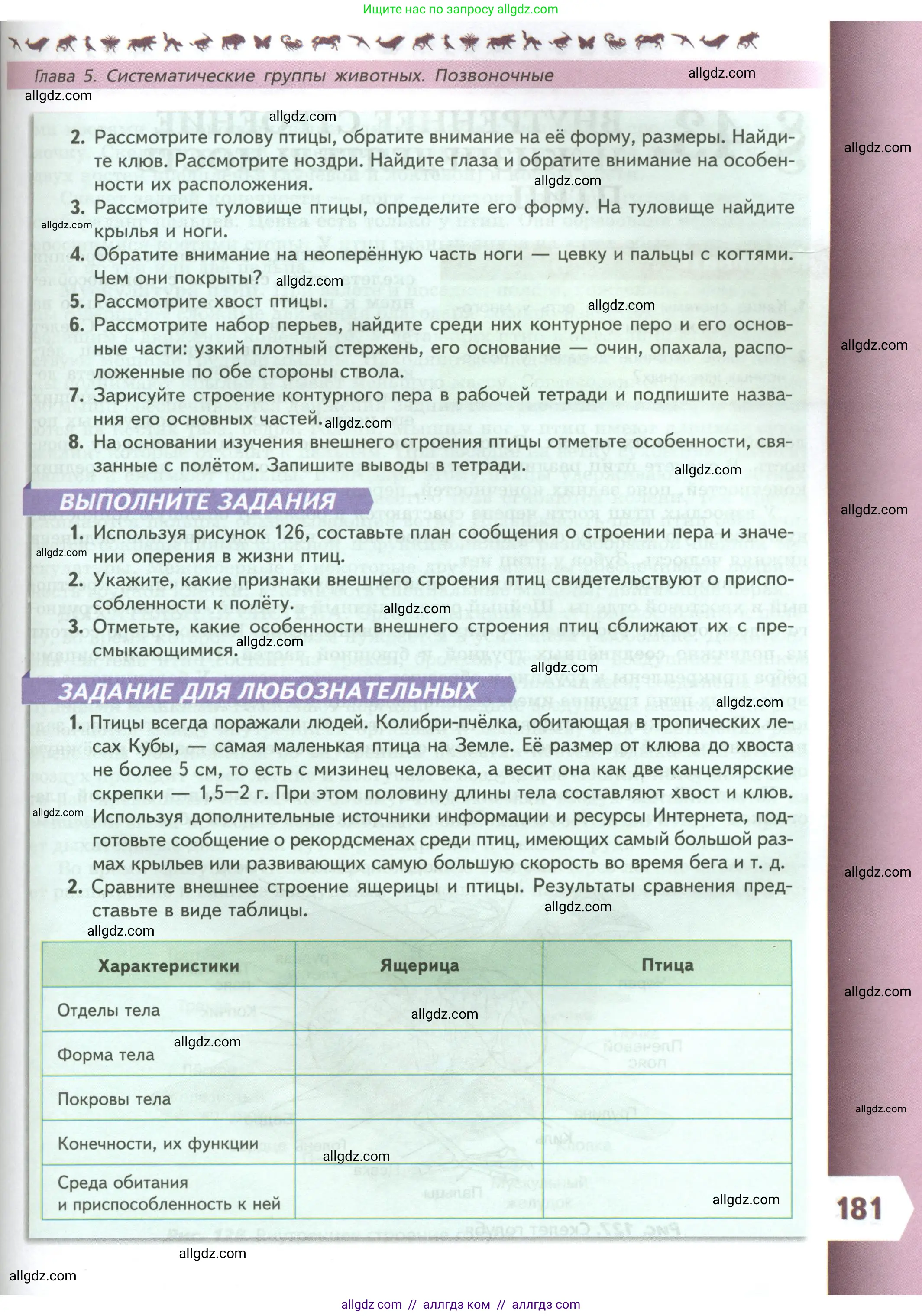 Биология, 8 класс Учебник, авторы: Пасечник Владимир Васильевич, Суматохин Сергей Витальевич, Гапонюк Зоя Георгиевна, издательство Просвещение, Москва, 2023, белого цвета, страница 181