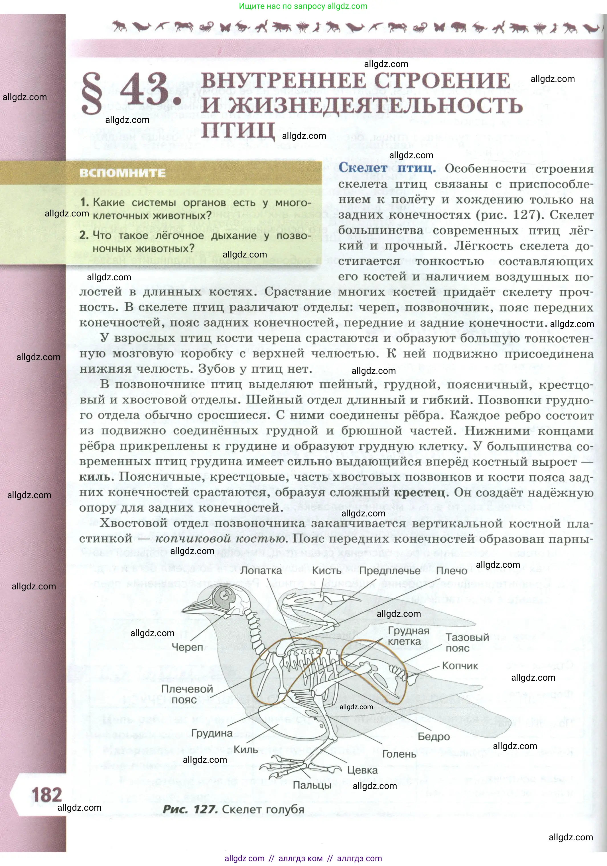 Биология, 8 класс Учебник, авторы: Пасечник Владимир Васильевич, Суматохин Сергей Витальевич, Гапонюк Зоя Георгиевна, издательство Просвещение, Москва, 2023, белого цвета, страница 182