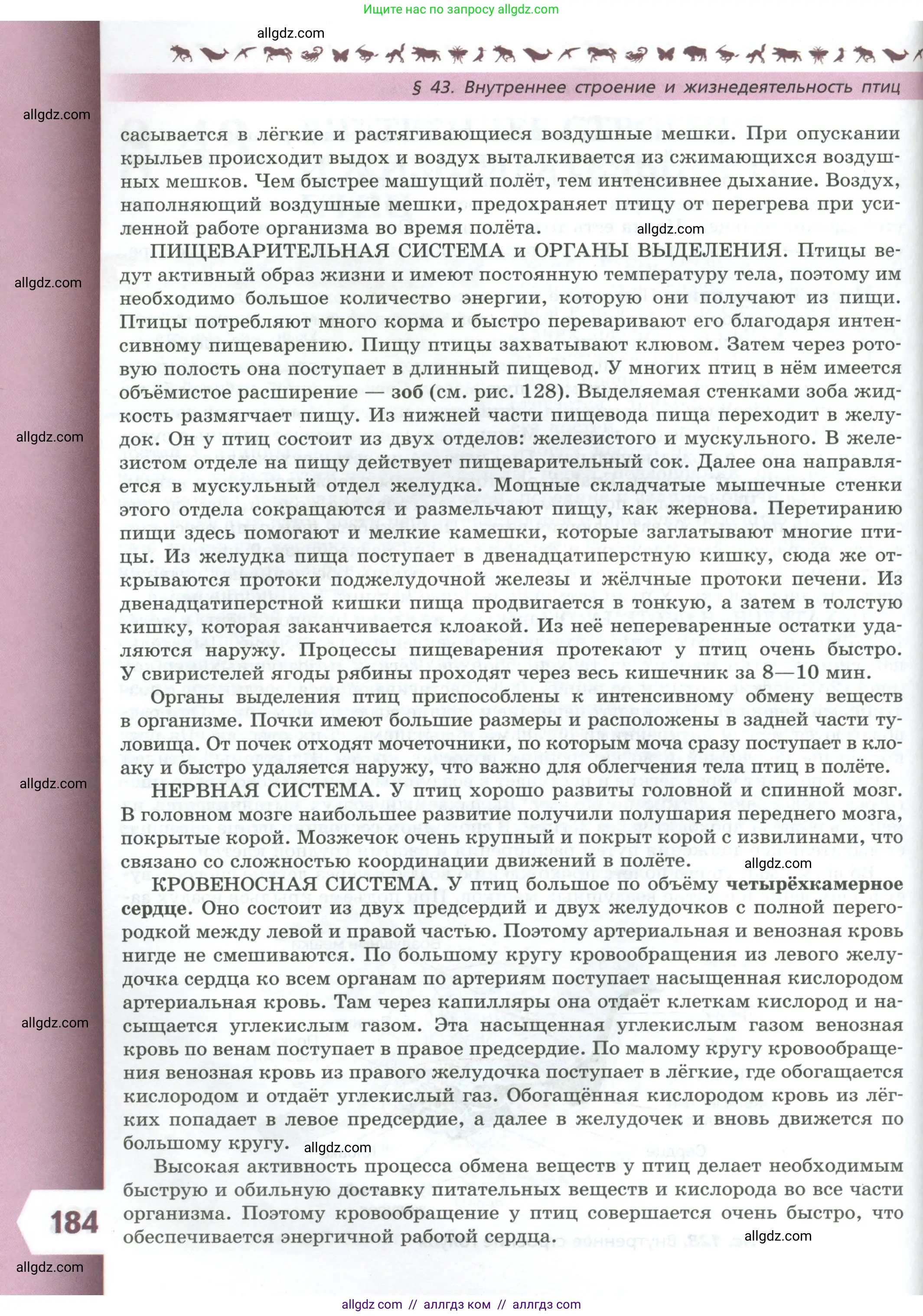 Биология, 8 класс Учебник, авторы: Пасечник Владимир Васильевич, Суматохин Сергей Витальевич, Гапонюк Зоя Георгиевна, издательство Просвещение, Москва, 2023, белого цвета, страница 184