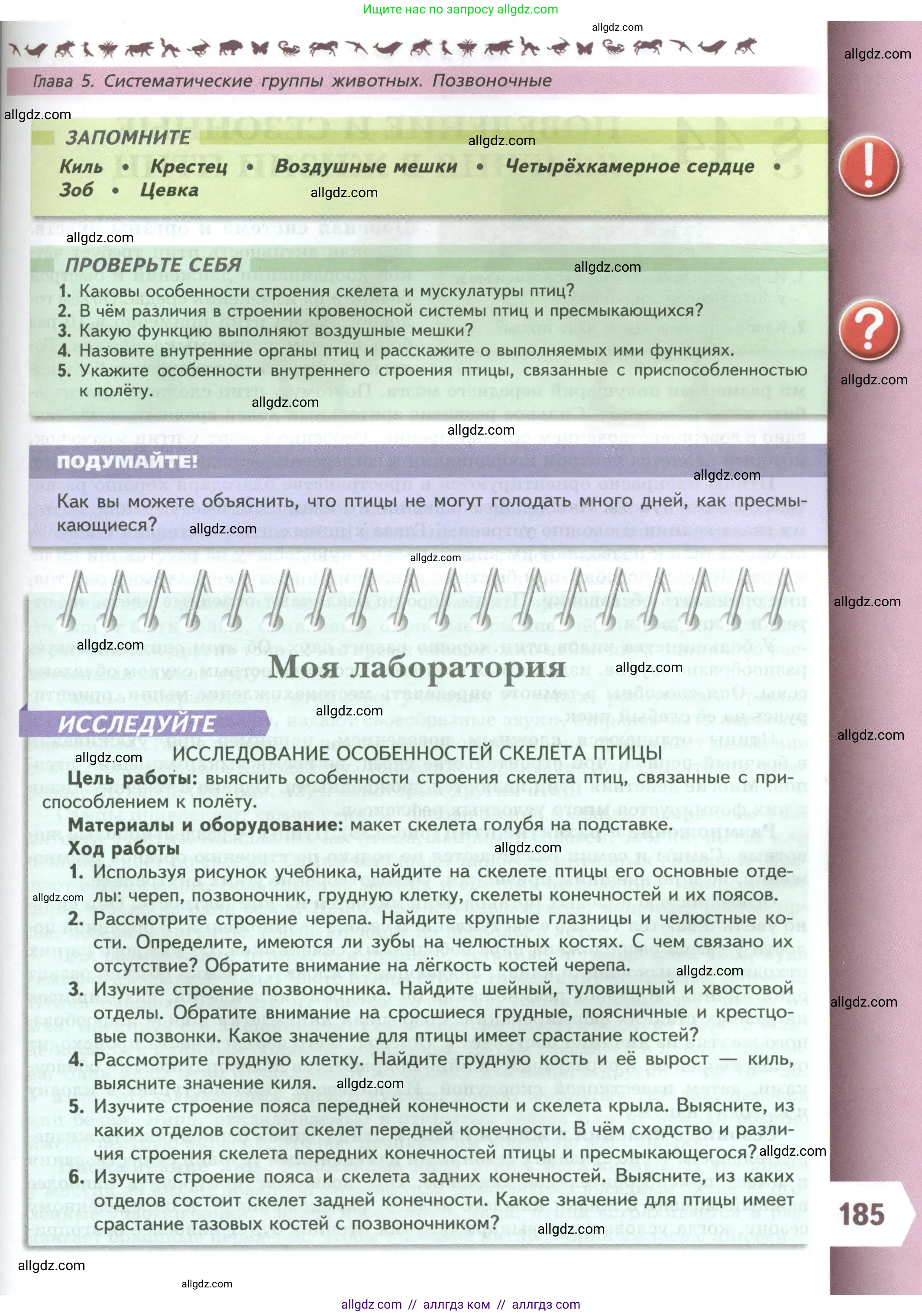 Биология, 8 класс Учебник, авторы: Пасечник Владимир Васильевич, Суматохин Сергей Витальевич, Гапонюк Зоя Георгиевна, издательство Просвещение, Москва, 2023, белого цвета, страница 185