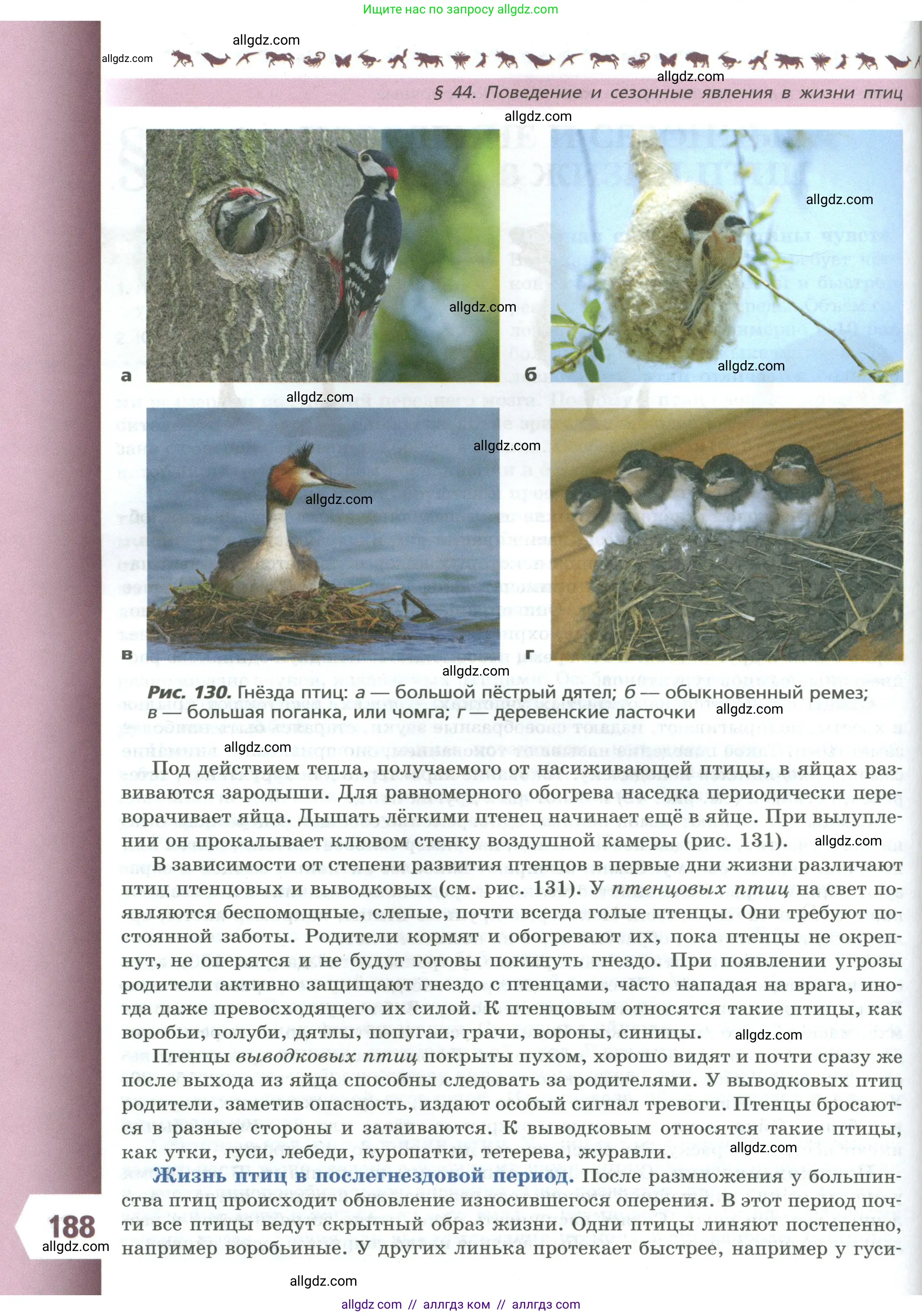 Биология, 8 класс Учебник, авторы: Пасечник Владимир Васильевич, Суматохин Сергей Витальевич, Гапонюк Зоя Георгиевна, издательство Просвещение, Москва, 2023, белого цвета, страница 188
