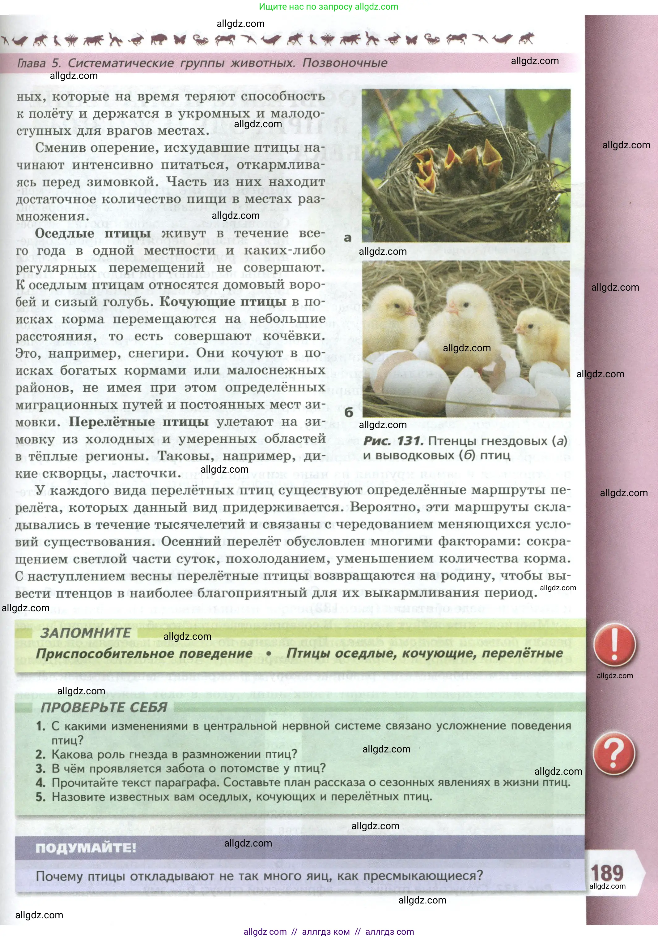 Биология, 8 класс Учебник, авторы: Пасечник Владимир Васильевич, Суматохин Сергей Витальевич, Гапонюк Зоя Георгиевна, издательство Просвещение, Москва, 2023, белого цвета, страница 189