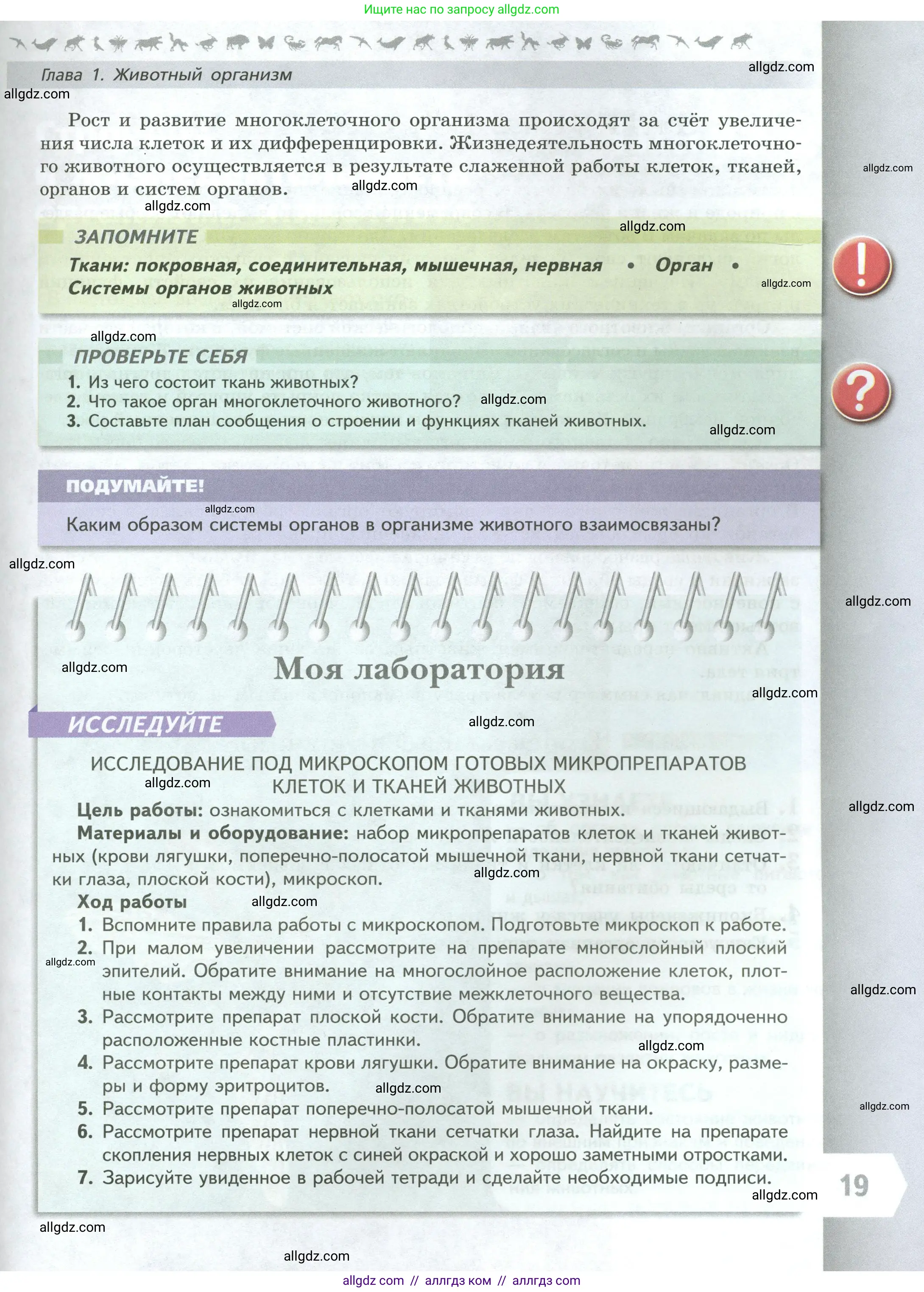Биология, 8 класс Учебник, авторы: Пасечник Владимир Васильевич, Суматохин Сергей Витальевич, Гапонюк Зоя Георгиевна, издательство Просвещение, Москва, 2023, белого цвета, страница 19