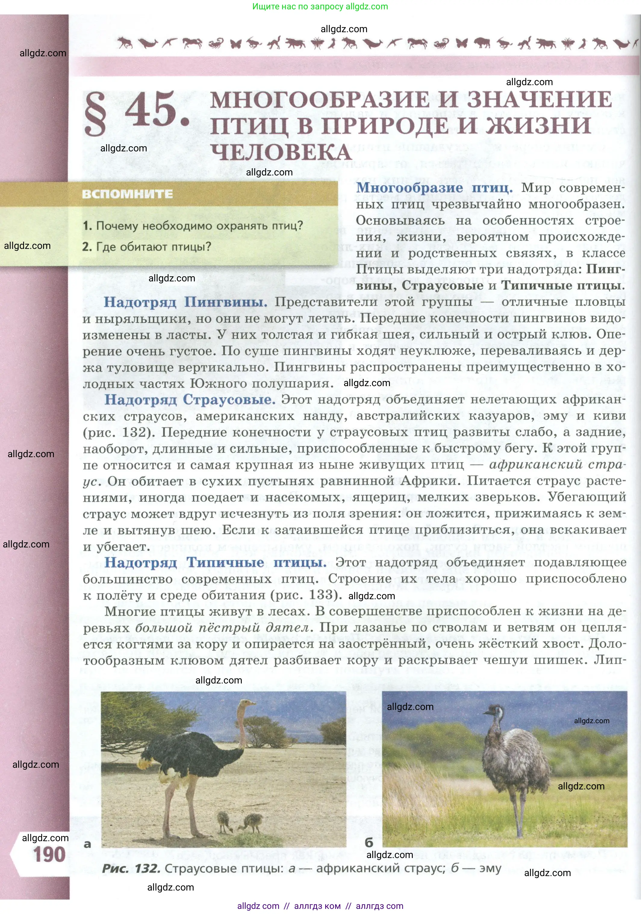 Биология, 8 класс Учебник, авторы: Пасечник Владимир Васильевич, Суматохин Сергей Витальевич, Гапонюк Зоя Георгиевна, издательство Просвещение, Москва, 2023, белого цвета, страница 190