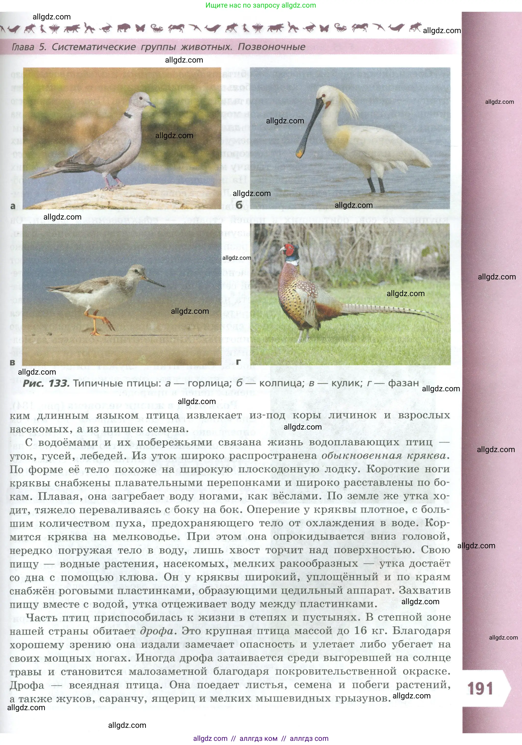 Биология, 8 класс Учебник, авторы: Пасечник Владимир Васильевич, Суматохин Сергей Витальевич, Гапонюк Зоя Георгиевна, издательство Просвещение, Москва, 2023, белого цвета, страница 191