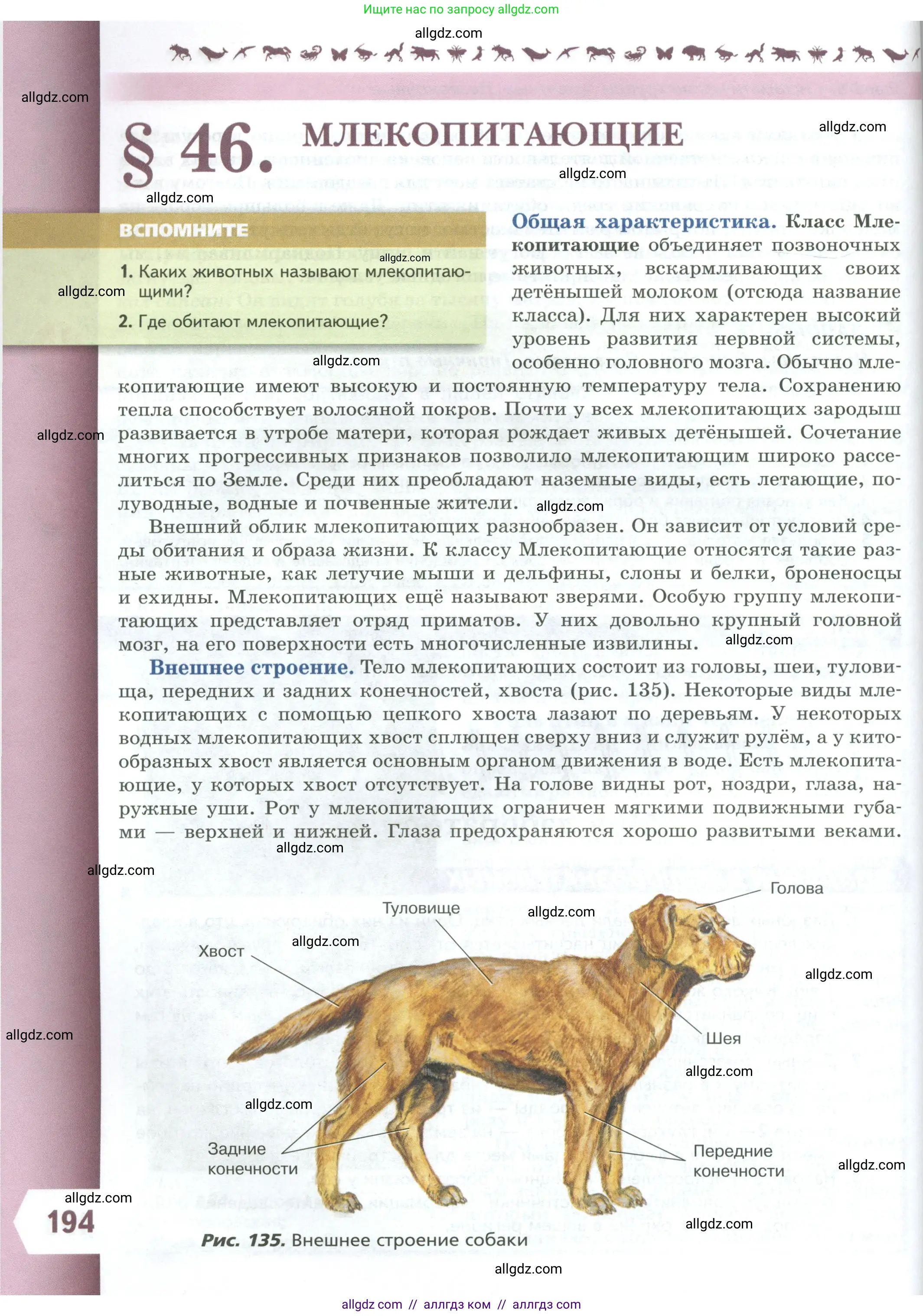 Биология, 8 класс Учебник, авторы: Пасечник Владимир Васильевич, Суматохин Сергей Витальевич, Гапонюк Зоя Георгиевна, издательство Просвещение, Москва, 2023, белого цвета, страница 194