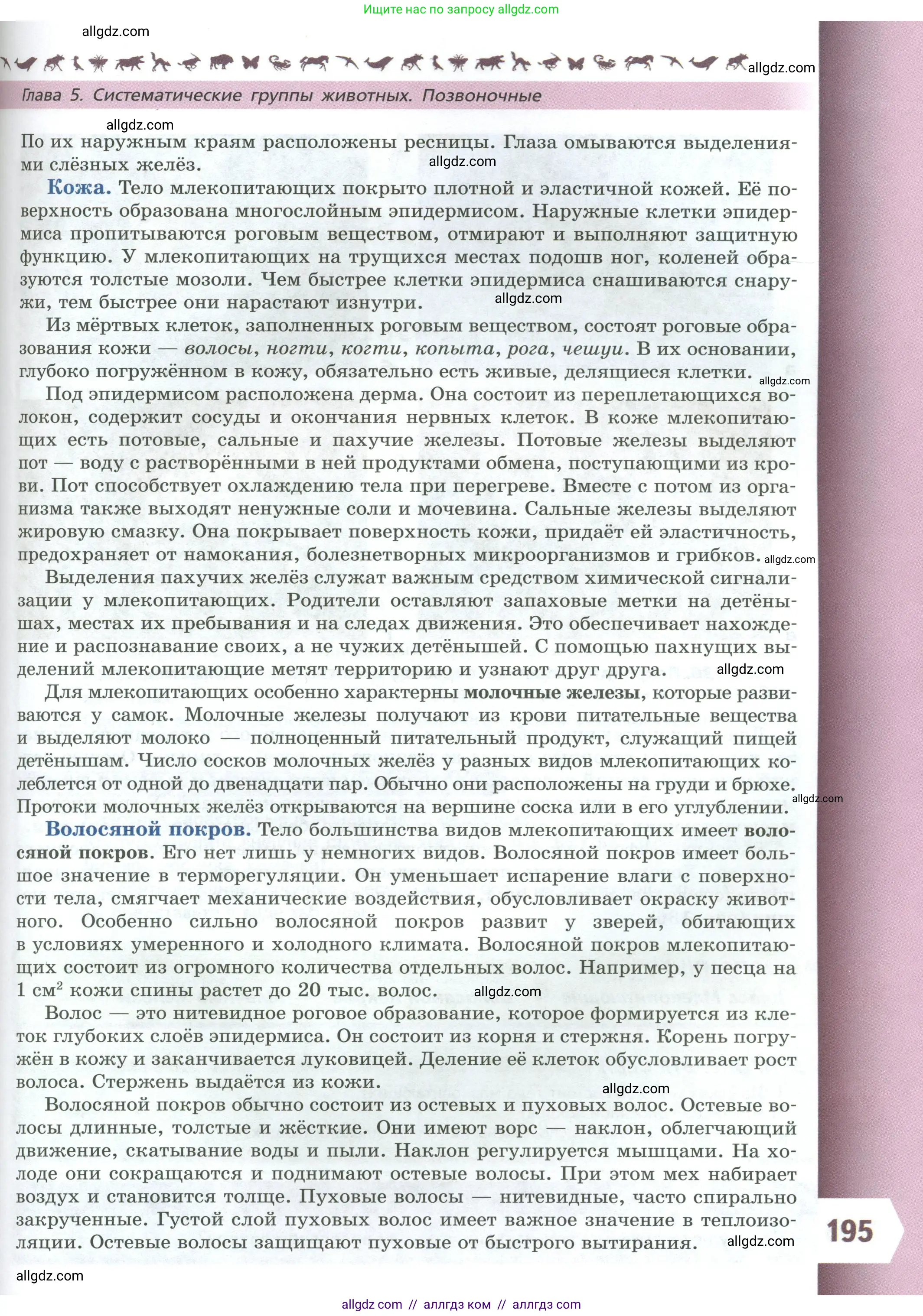 Биология, 8 класс Учебник, авторы: Пасечник Владимир Васильевич, Суматохин Сергей Витальевич, Гапонюк Зоя Георгиевна, издательство Просвещение, Москва, 2023, белого цвета, страница 195