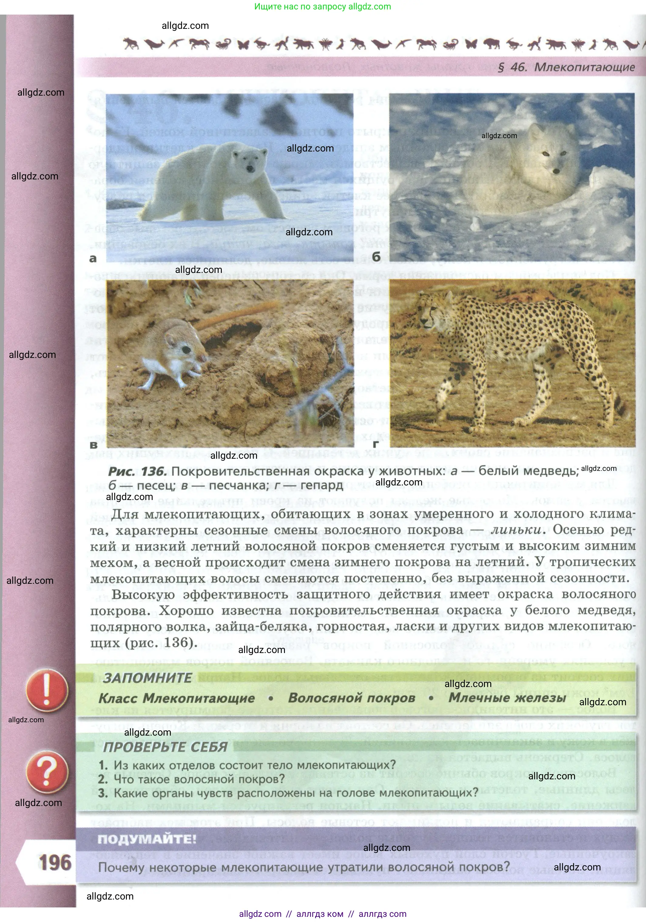 Биология, 8 класс Учебник, авторы: Пасечник Владимир Васильевич, Суматохин Сергей Витальевич, Гапонюк Зоя Георгиевна, издательство Просвещение, Москва, 2023, белого цвета, страница 196