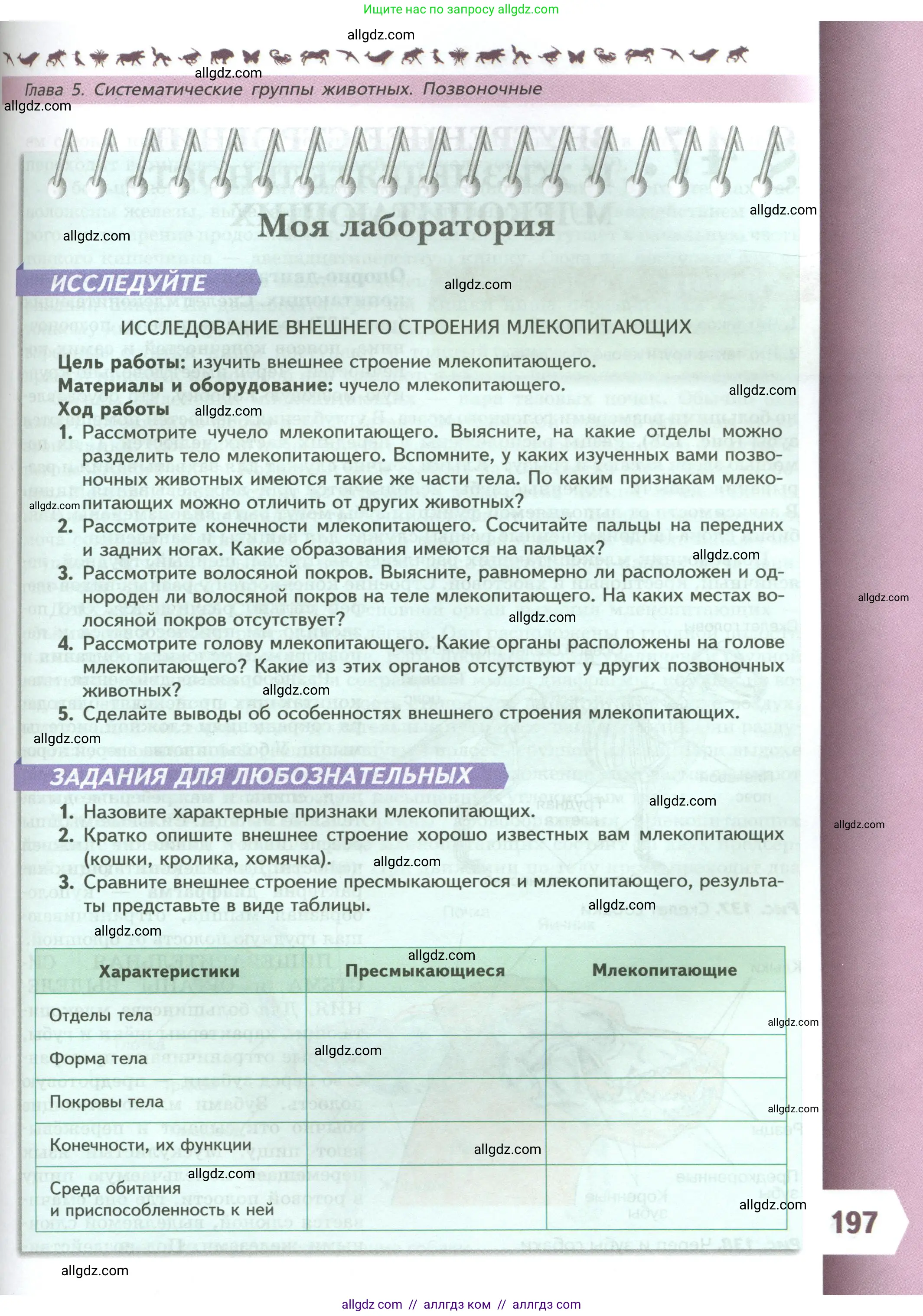 Биология, 8 класс Учебник, авторы: Пасечник Владимир Васильевич, Суматохин Сергей Витальевич, Гапонюк Зоя Георгиевна, издательство Просвещение, Москва, 2023, белого цвета, страница 197