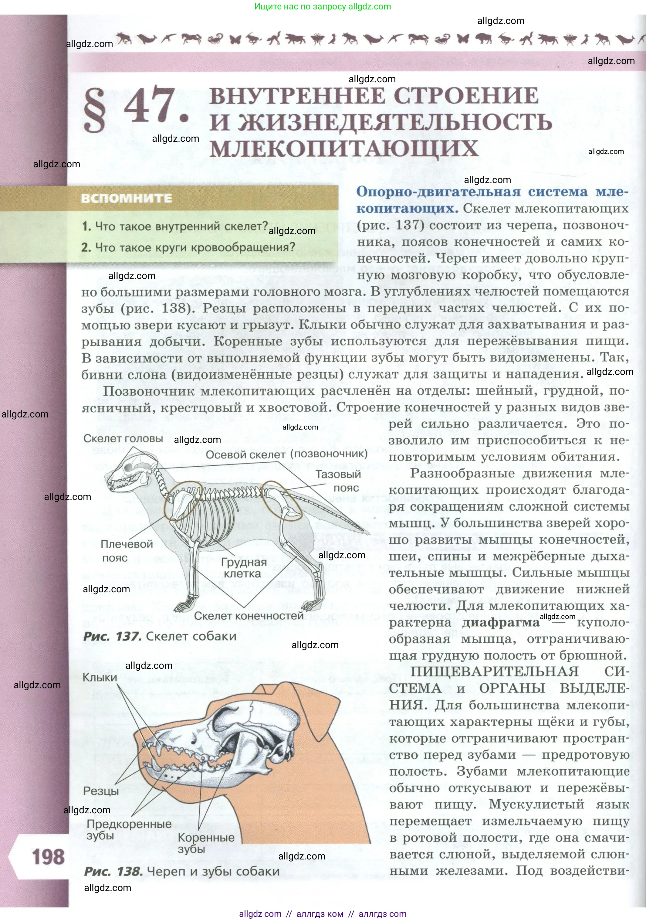 Биология, 8 класс Учебник, авторы: Пасечник Владимир Васильевич, Суматохин Сергей Витальевич, Гапонюк Зоя Георгиевна, издательство Просвещение, Москва, 2023, белого цвета, страница 198