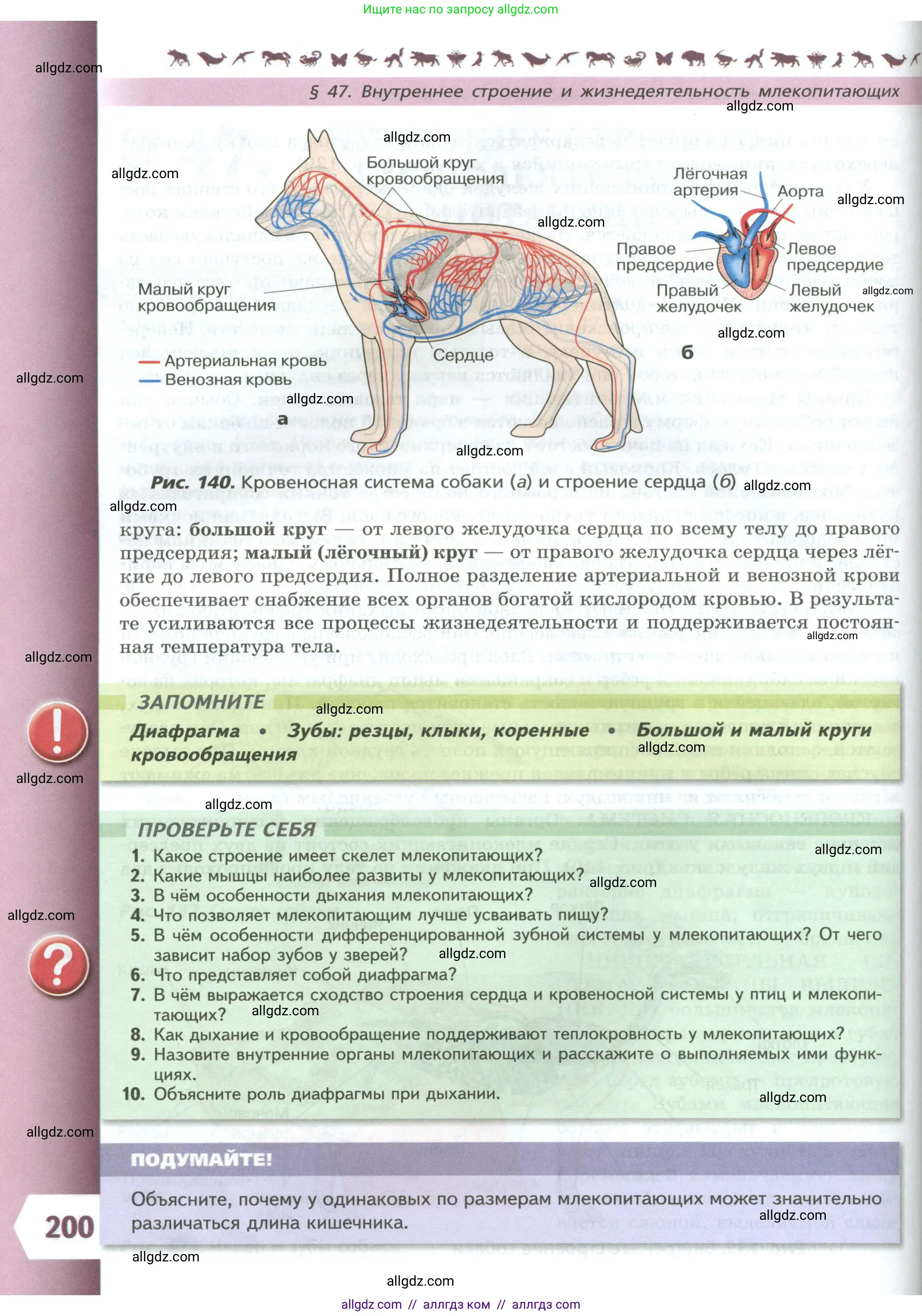 Биология, 8 класс Учебник, авторы: Пасечник Владимир Васильевич, Суматохин Сергей Витальевич, Гапонюк Зоя Георгиевна, издательство Просвещение, Москва, 2023, белого цвета, страница 200