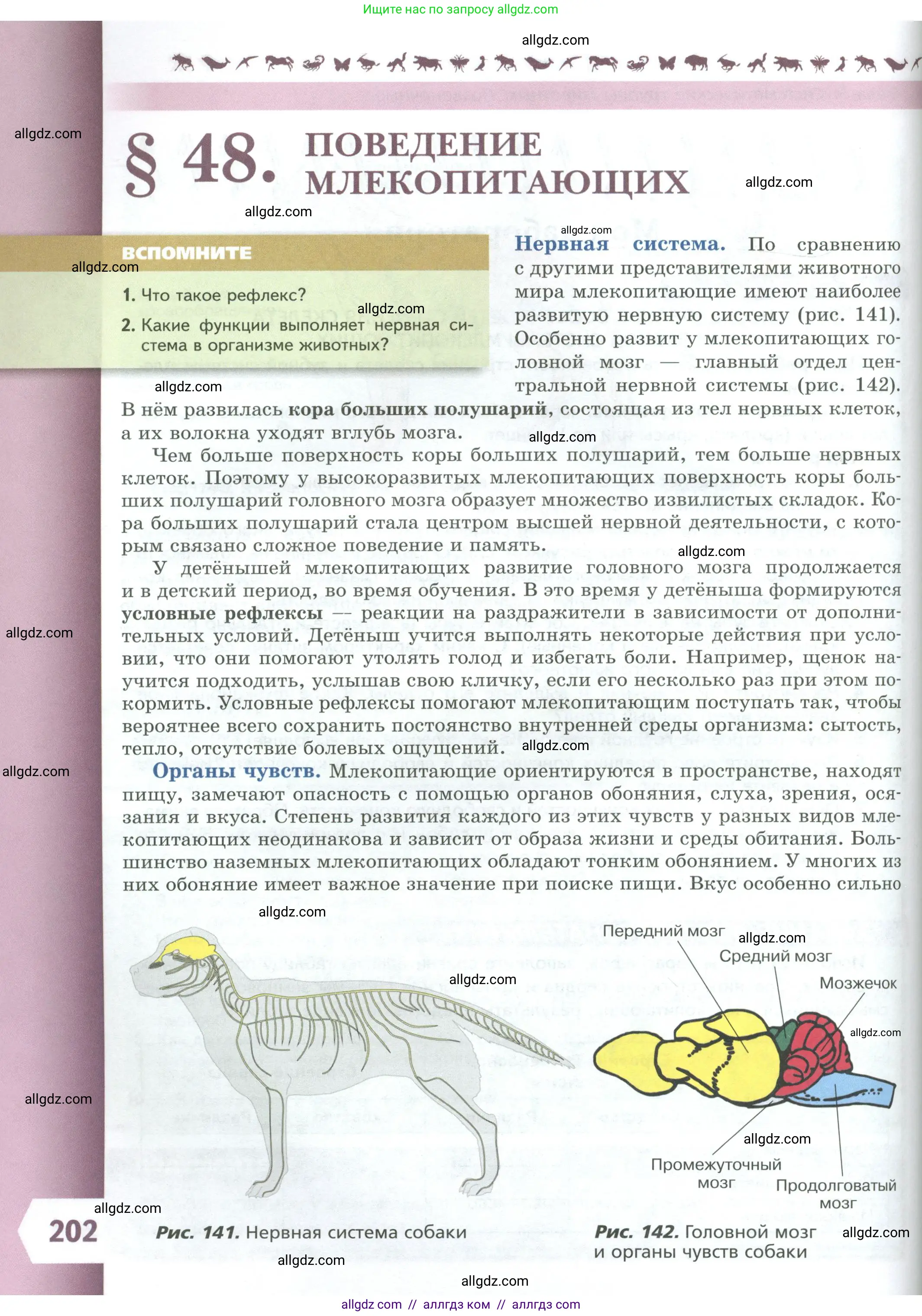 Биология, 8 класс Учебник, авторы: Пасечник Владимир Васильевич, Суматохин Сергей Витальевич, Гапонюк Зоя Георгиевна, издательство Просвещение, Москва, 2023, белого цвета, страница 202
