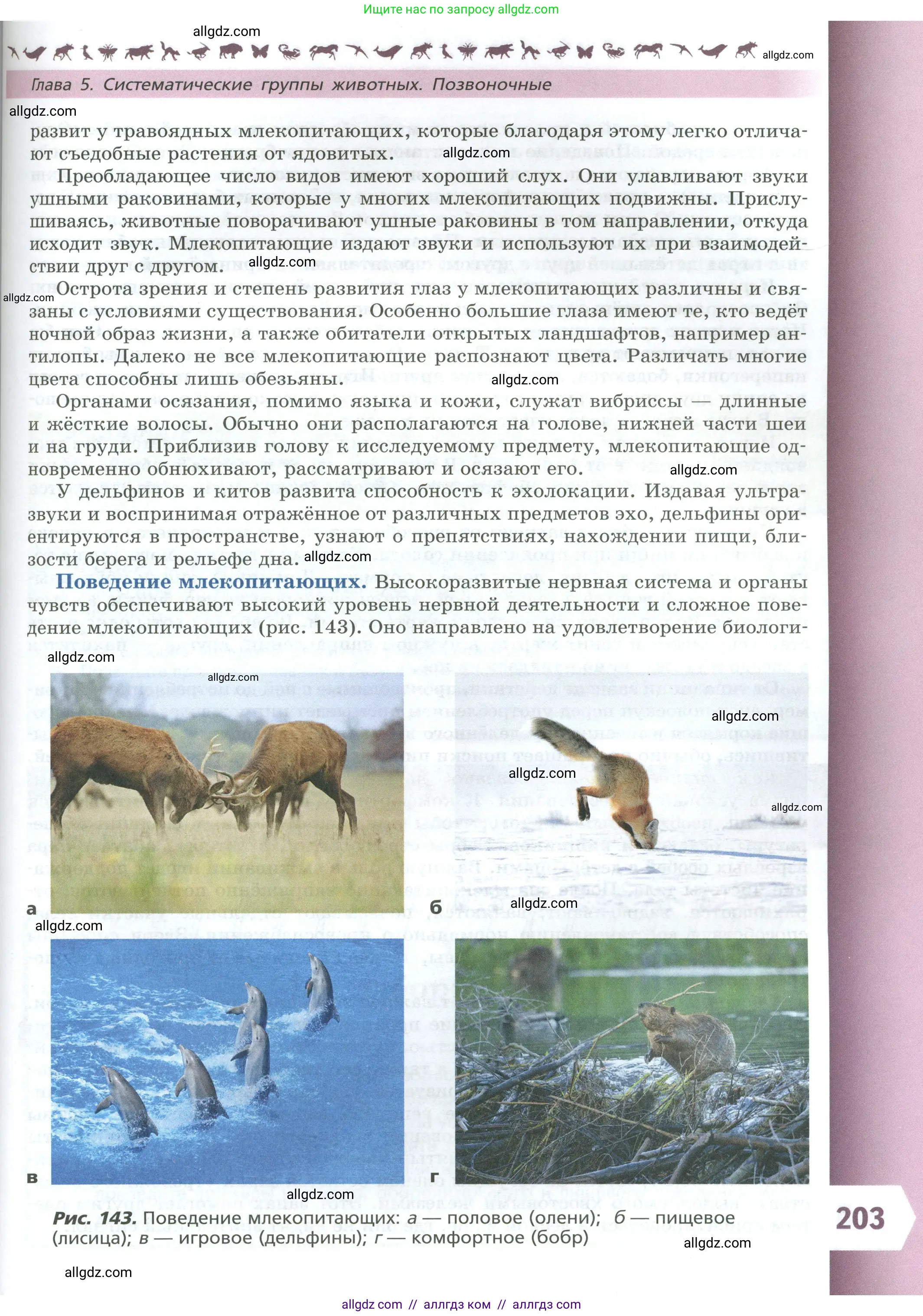 Биология, 8 класс Учебник, авторы: Пасечник Владимир Васильевич, Суматохин Сергей Витальевич, Гапонюк Зоя Георгиевна, издательство Просвещение, Москва, 2023, белого цвета, страница 203