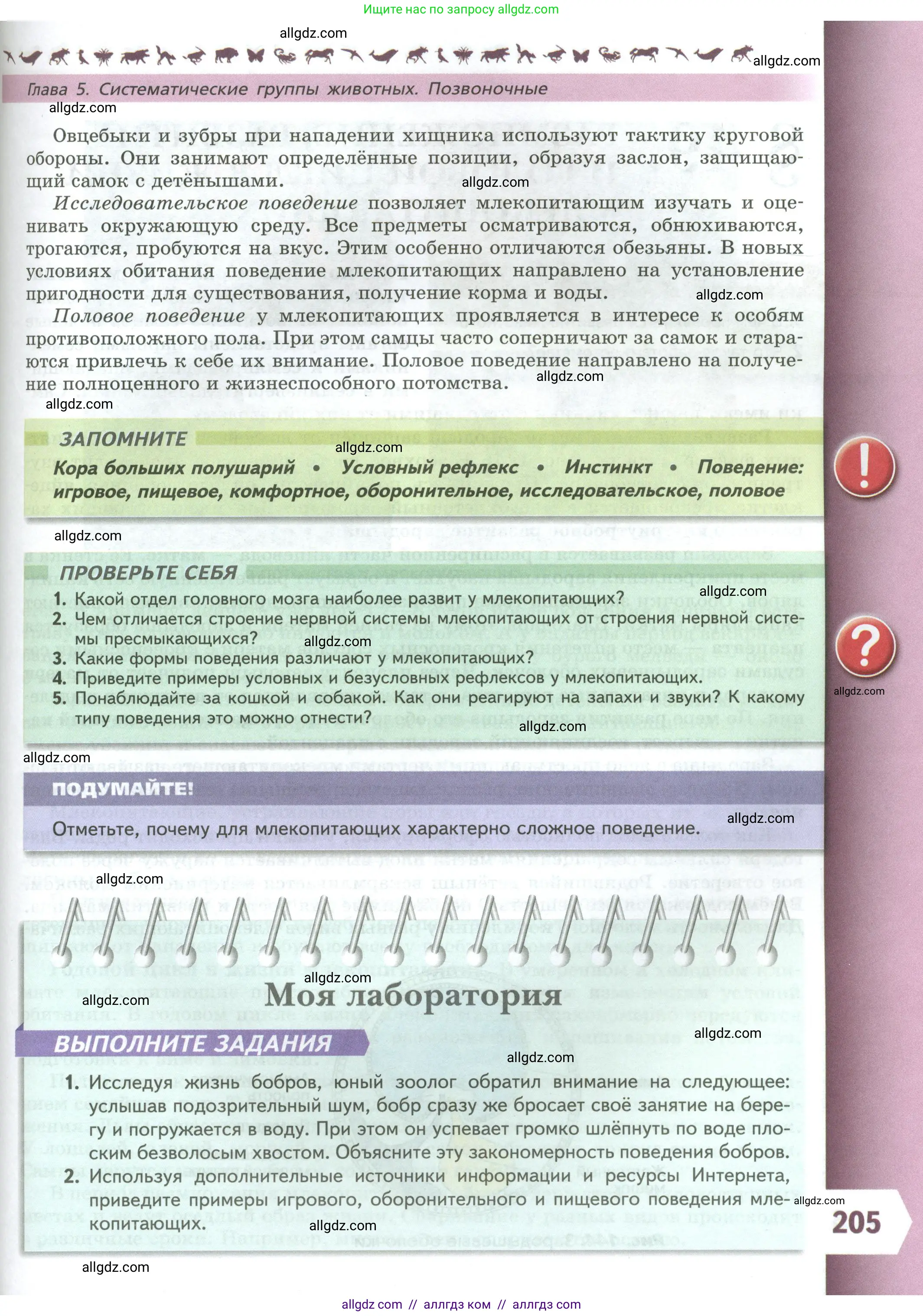 Биология, 8 класс Учебник, авторы: Пасечник Владимир Васильевич, Суматохин Сергей Витальевич, Гапонюк Зоя Георгиевна, издательство Просвещение, Москва, 2023, белого цвета, страница 205