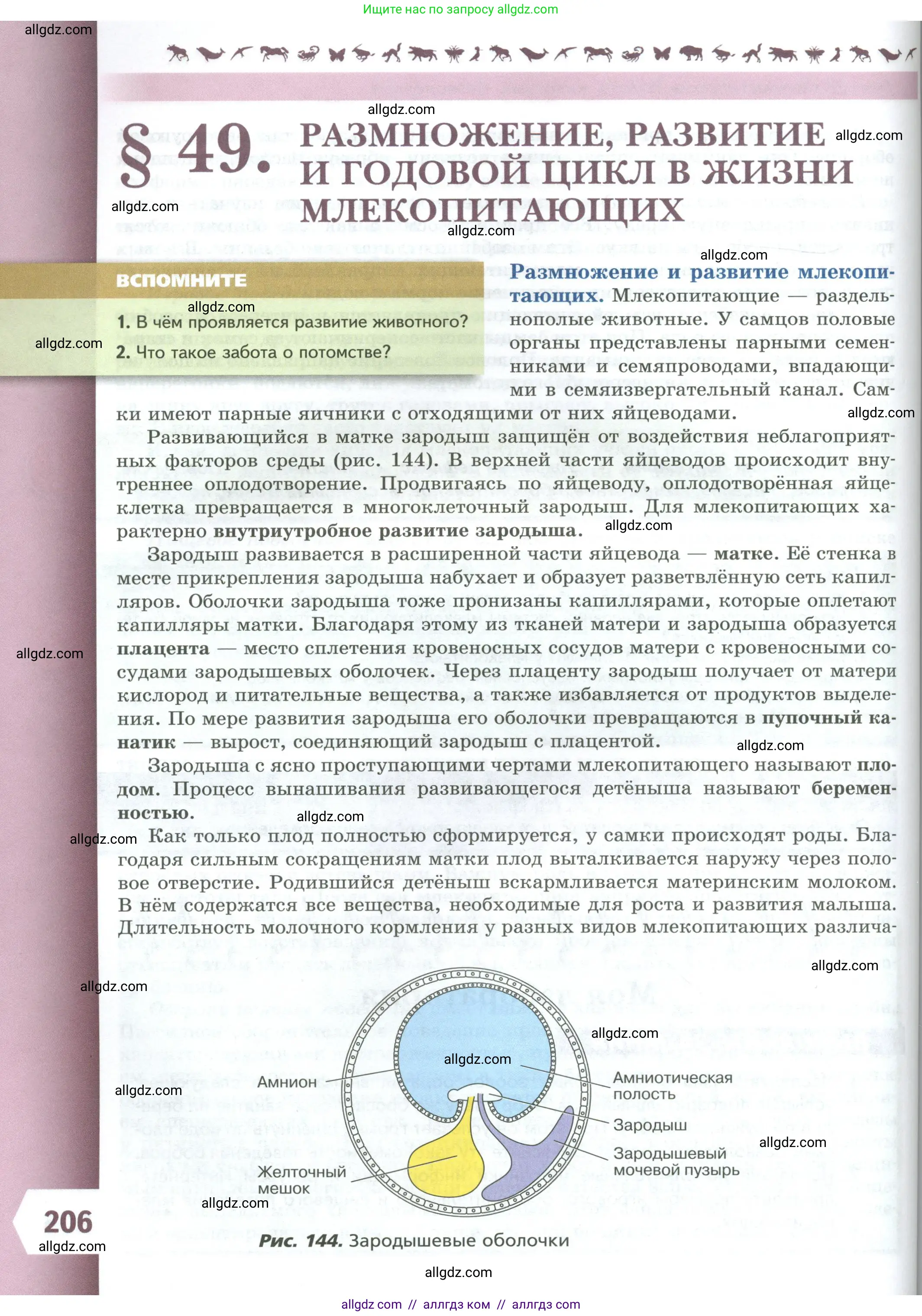 Биология, 8 класс Учебник, авторы: Пасечник Владимир Васильевич, Суматохин Сергей Витальевич, Гапонюк Зоя Георгиевна, издательство Просвещение, Москва, 2023, белого цвета, страница 206
