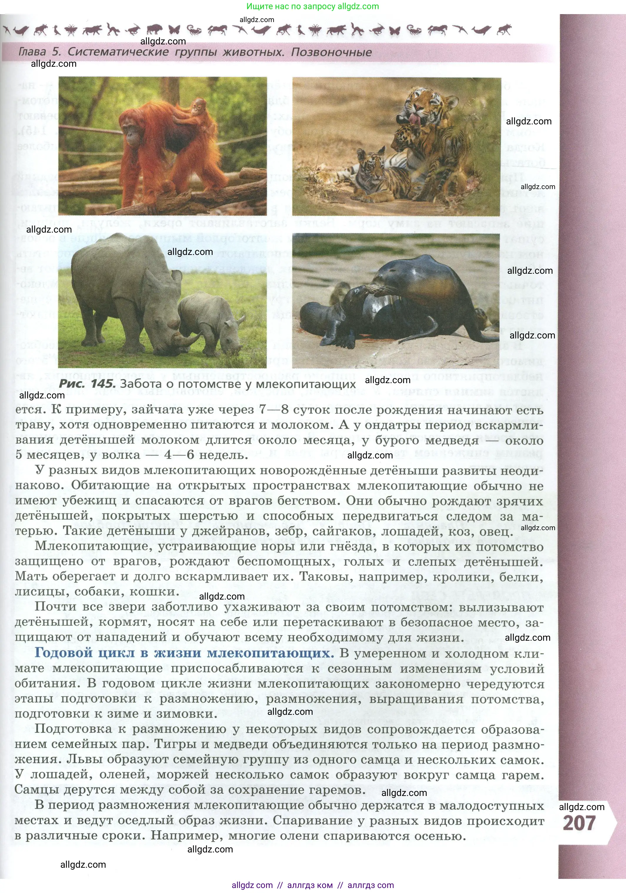 Биология, 8 класс Учебник, авторы: Пасечник Владимир Васильевич, Суматохин Сергей Витальевич, Гапонюк Зоя Георгиевна, издательство Просвещение, Москва, 2023, белого цвета, страница 207