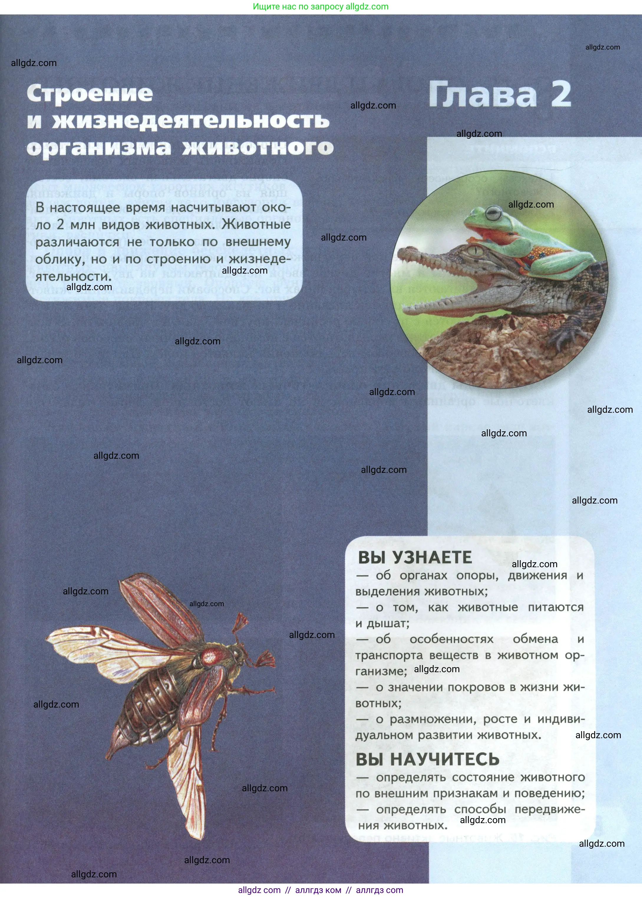 Биология, 8 класс Учебник, авторы: Пасечник Владимир Васильевич, Суматохин Сергей Витальевич, Гапонюк Зоя Георгиевна, издательство Просвещение, Москва, 2023, белого цвета, страница 21