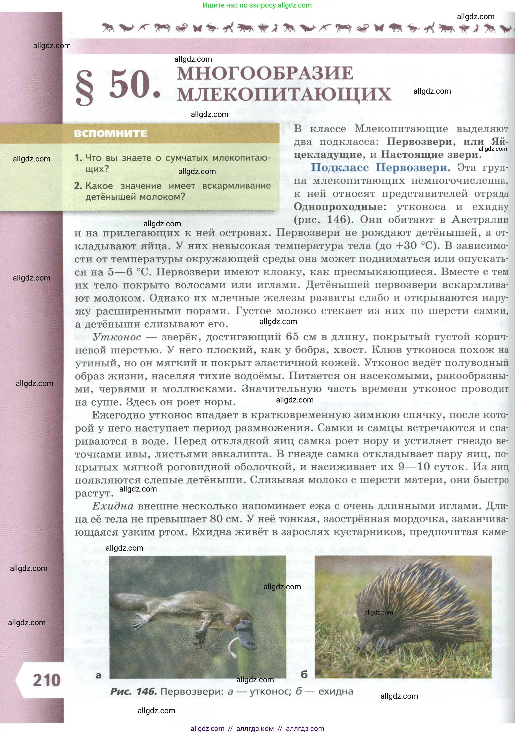 Биология, 8 класс Учебник, авторы: Пасечник Владимир Васильевич, Суматохин Сергей Витальевич, Гапонюк Зоя Георгиевна, издательство Просвещение, Москва, 2023, белого цвета, страница 210