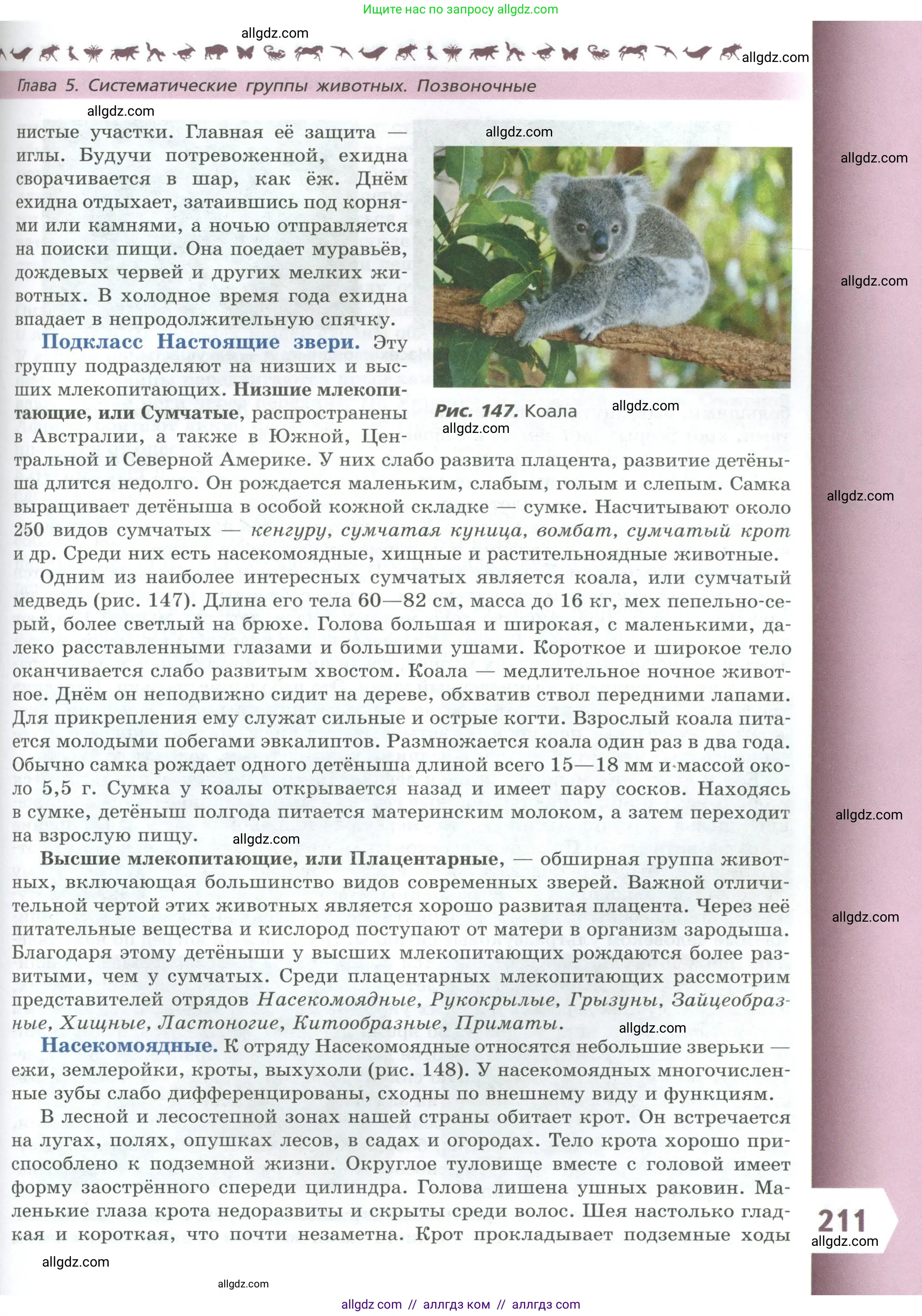 Биология, 8 класс Учебник, авторы: Пасечник Владимир Васильевич, Суматохин Сергей Витальевич, Гапонюк Зоя Георгиевна, издательство Просвещение, Москва, 2023, белого цвета, страница 211
