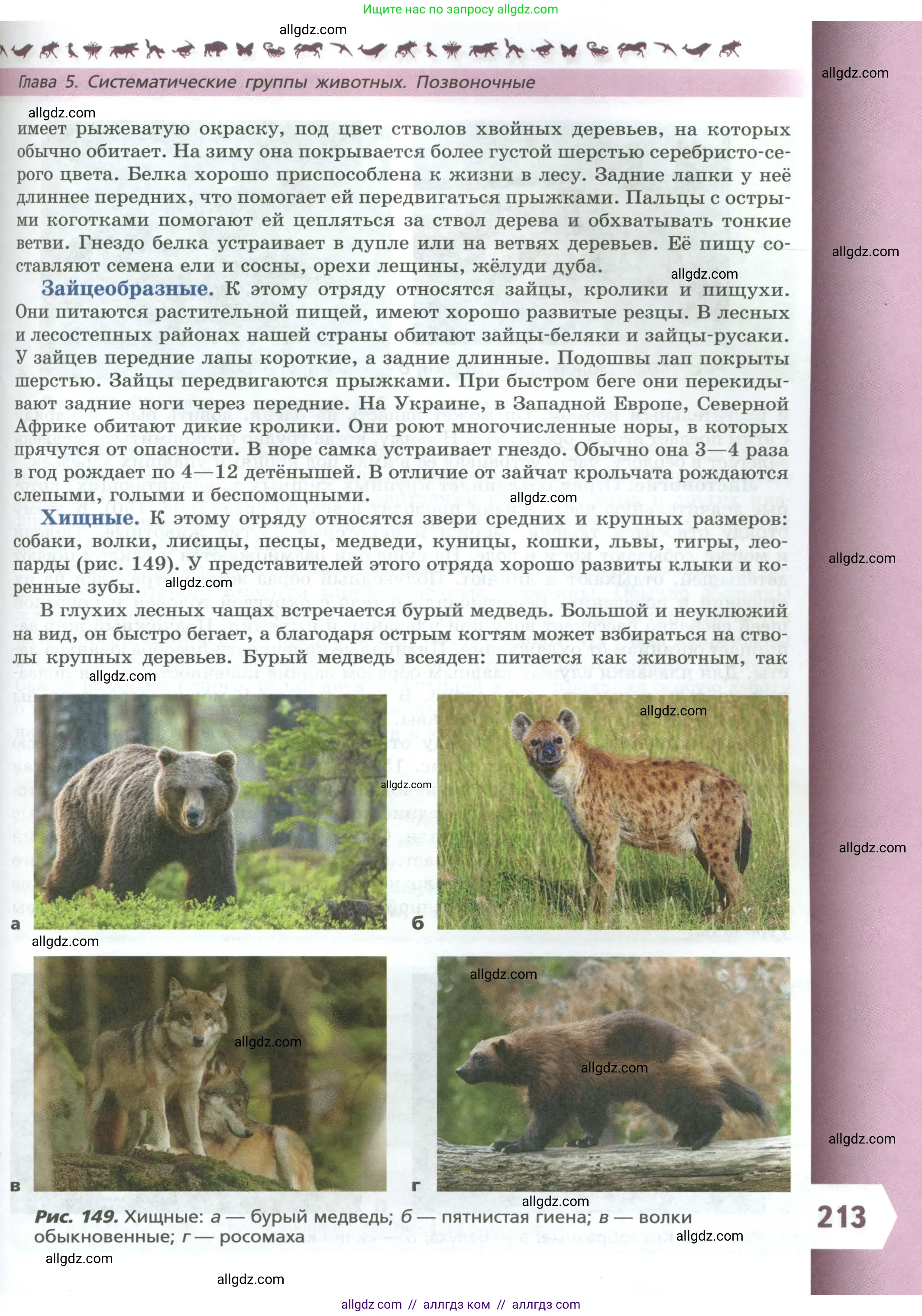Биология, 8 класс Учебник, авторы: Пасечник Владимир Васильевич, Суматохин Сергей Витальевич, Гапонюк Зоя Георгиевна, издательство Просвещение, Москва, 2023, белого цвета, страница 213