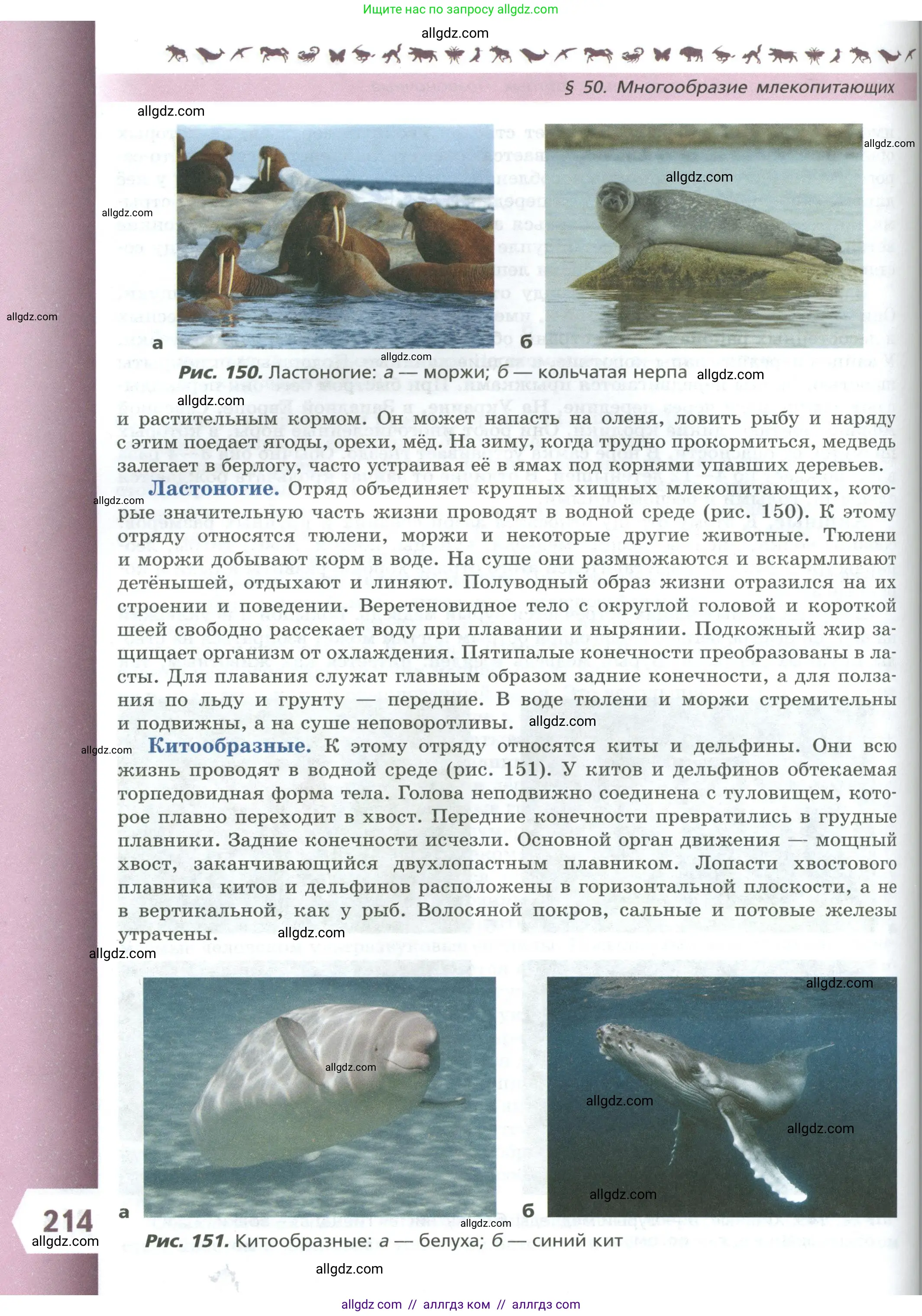 Биология, 8 класс Учебник, авторы: Пасечник Владимир Васильевич, Суматохин Сергей Витальевич, Гапонюк Зоя Георгиевна, издательство Просвещение, Москва, 2023, белого цвета, страница 214