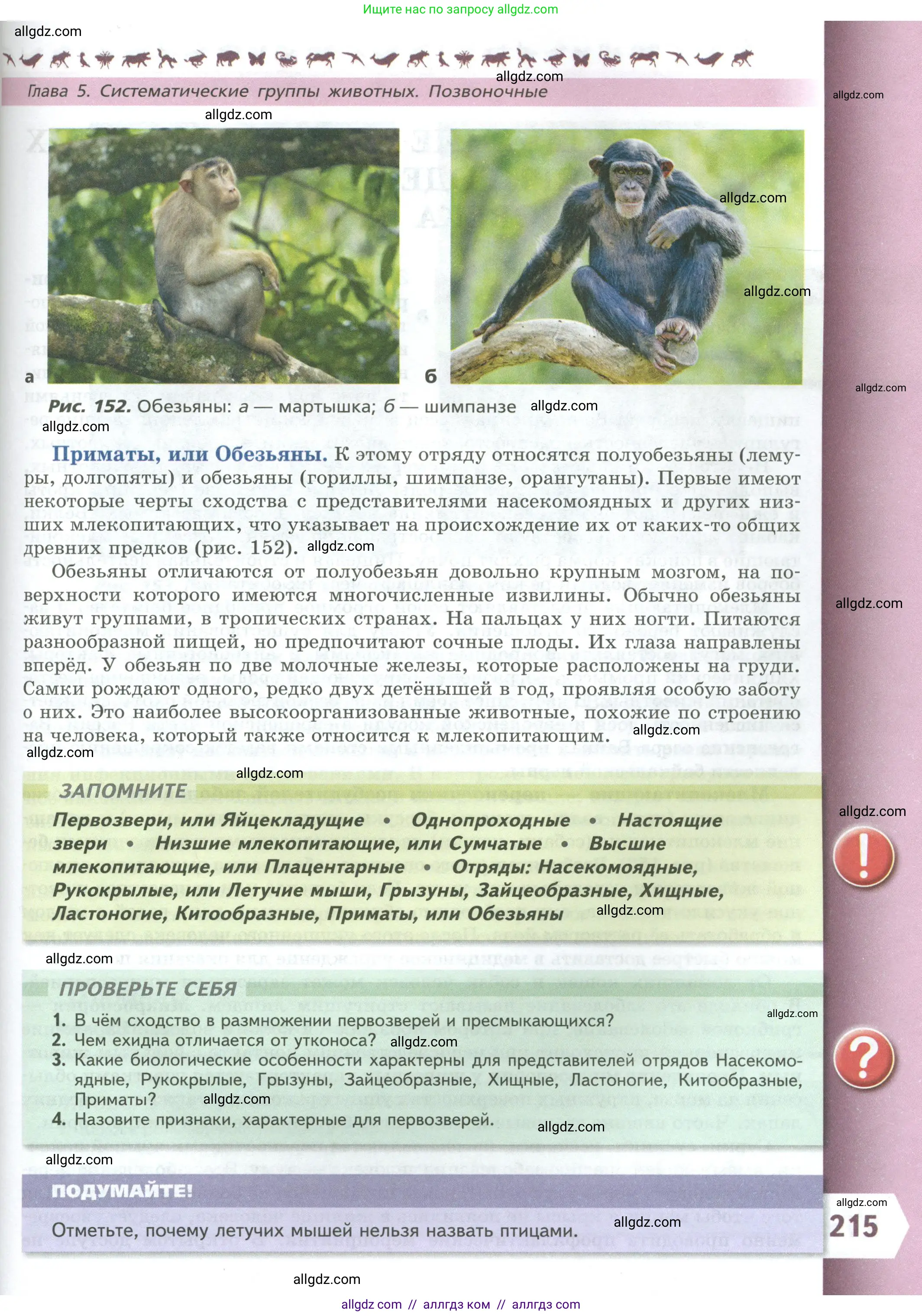 Биология, 8 класс Учебник, авторы: Пасечник Владимир Васильевич, Суматохин Сергей Витальевич, Гапонюк Зоя Георгиевна, издательство Просвещение, Москва, 2023, белого цвета, страница 215