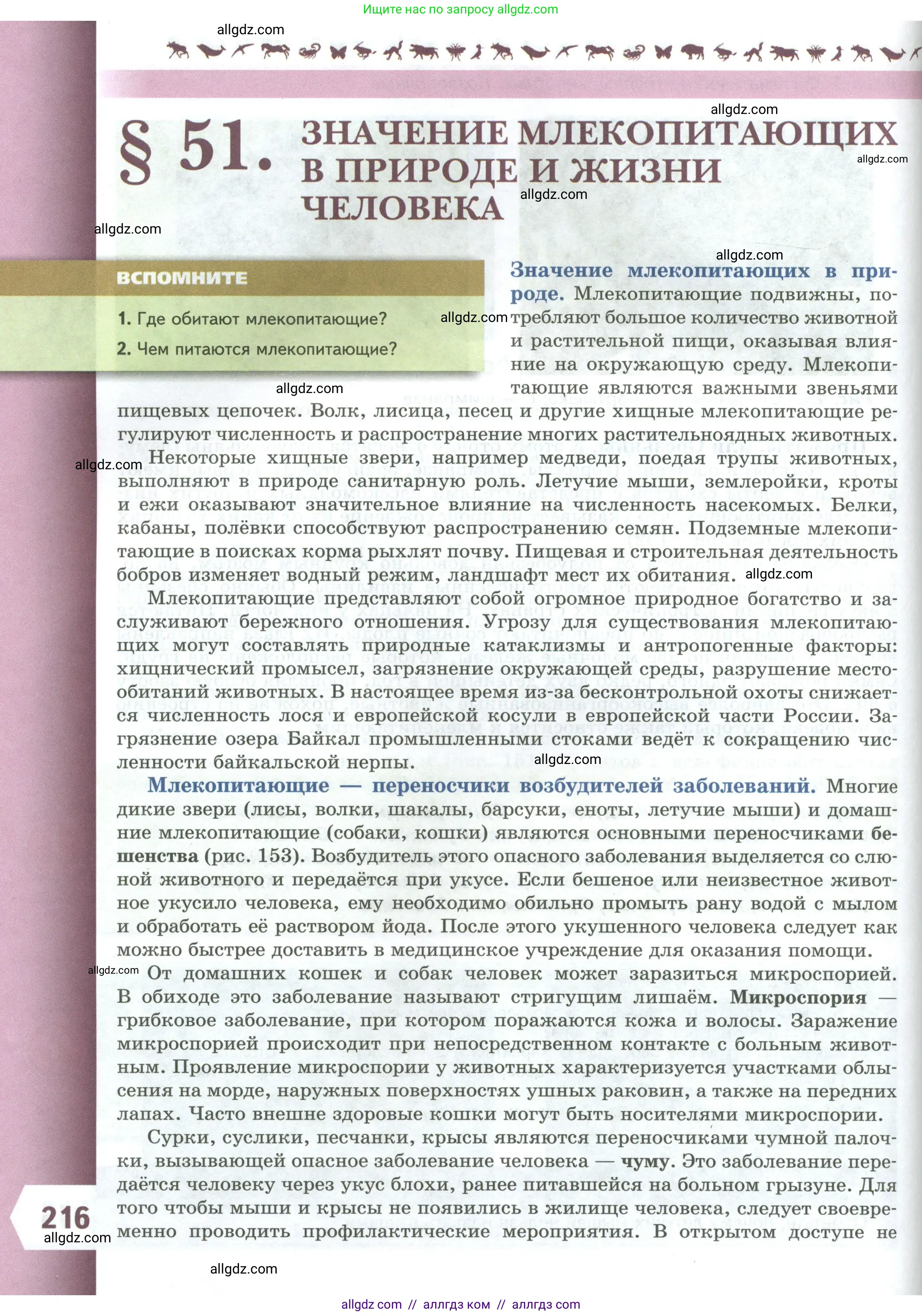 Биология, 8 класс Учебник, авторы: Пасечник Владимир Васильевич, Суматохин Сергей Витальевич, Гапонюк Зоя Георгиевна, издательство Просвещение, Москва, 2023, белого цвета, страница 216