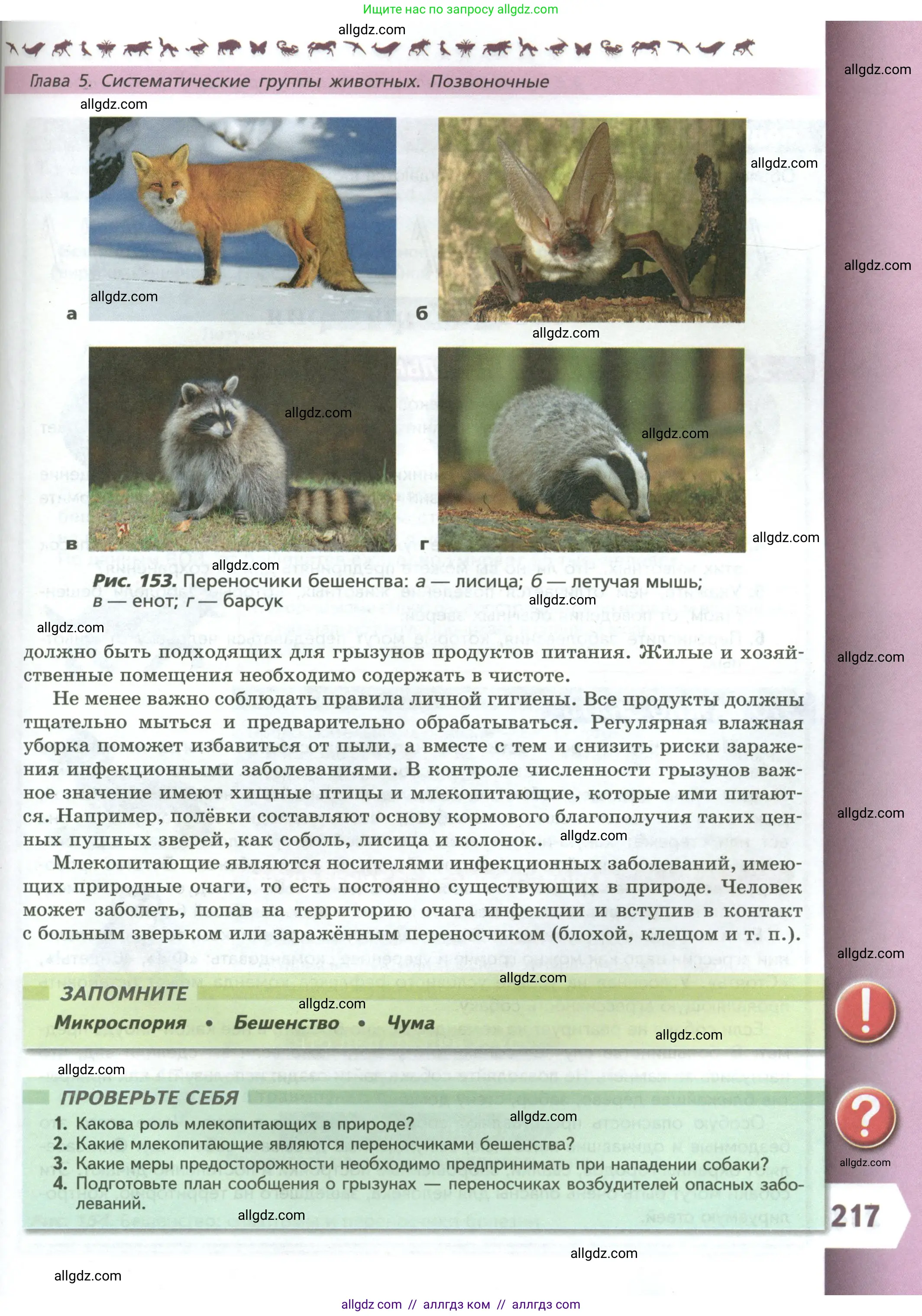 Биология, 8 класс Учебник, авторы: Пасечник Владимир Васильевич, Суматохин Сергей Витальевич, Гапонюк Зоя Георгиевна, издательство Просвещение, Москва, 2023, белого цвета, страница 217