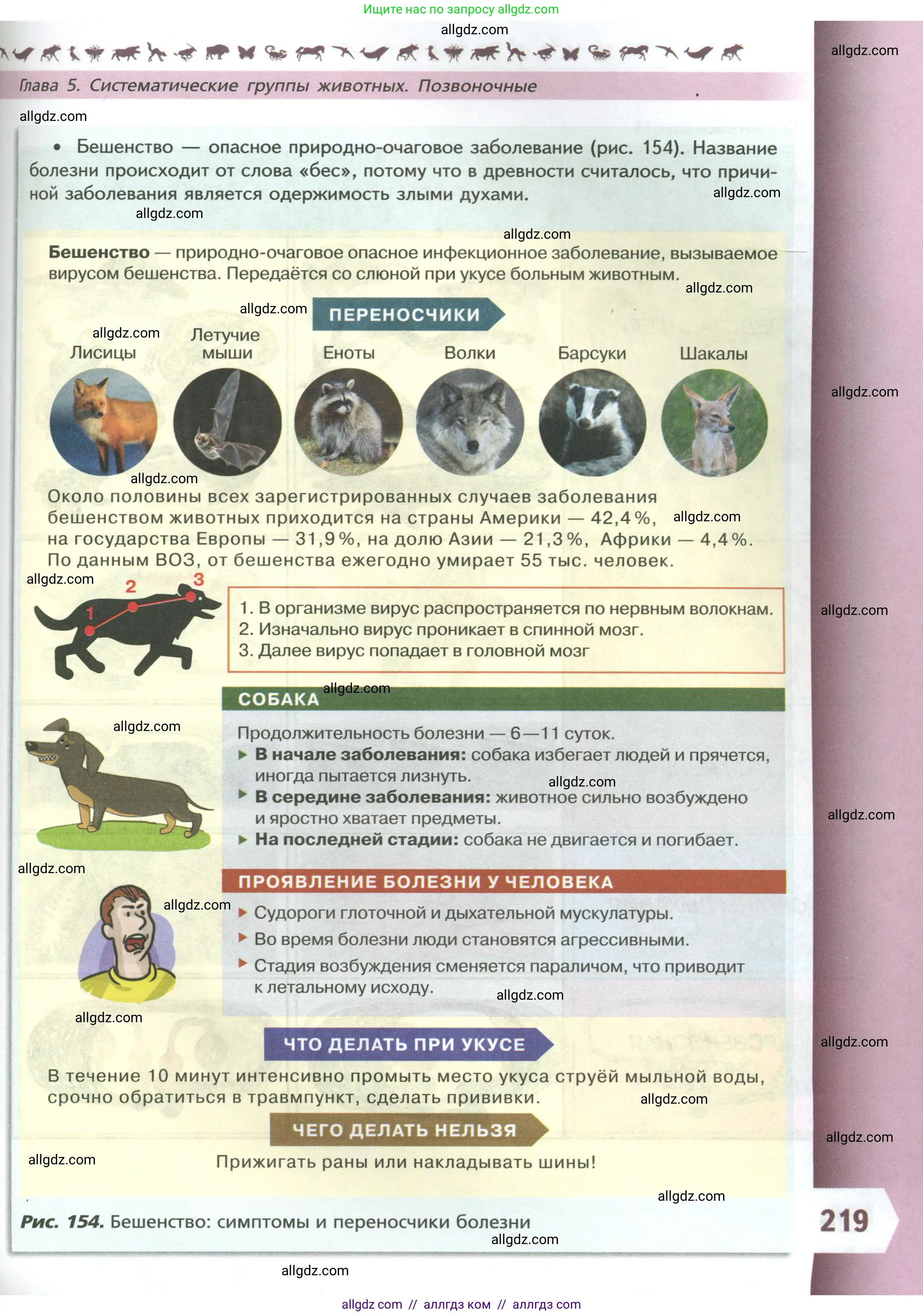 Биология, 8 класс Учебник, авторы: Пасечник Владимир Васильевич, Суматохин Сергей Витальевич, Гапонюк Зоя Георгиевна, издательство Просвещение, Москва, 2023, белого цвета, страница 219