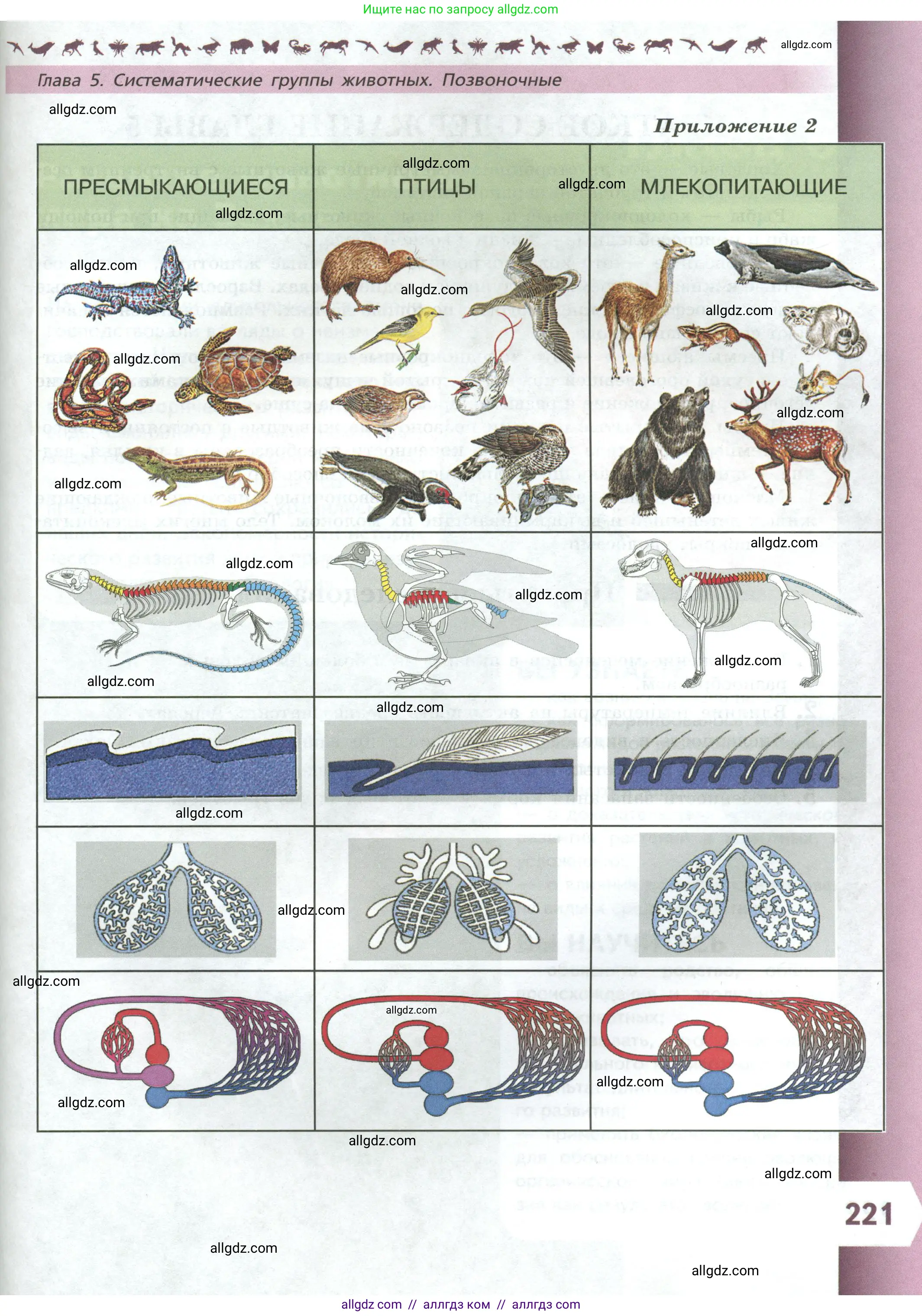 Биология, 8 класс Учебник, авторы: Пасечник Владимир Васильевич, Суматохин Сергей Витальевич, Гапонюк Зоя Георгиевна, издательство Просвещение, Москва, 2023, белого цвета, страница 221