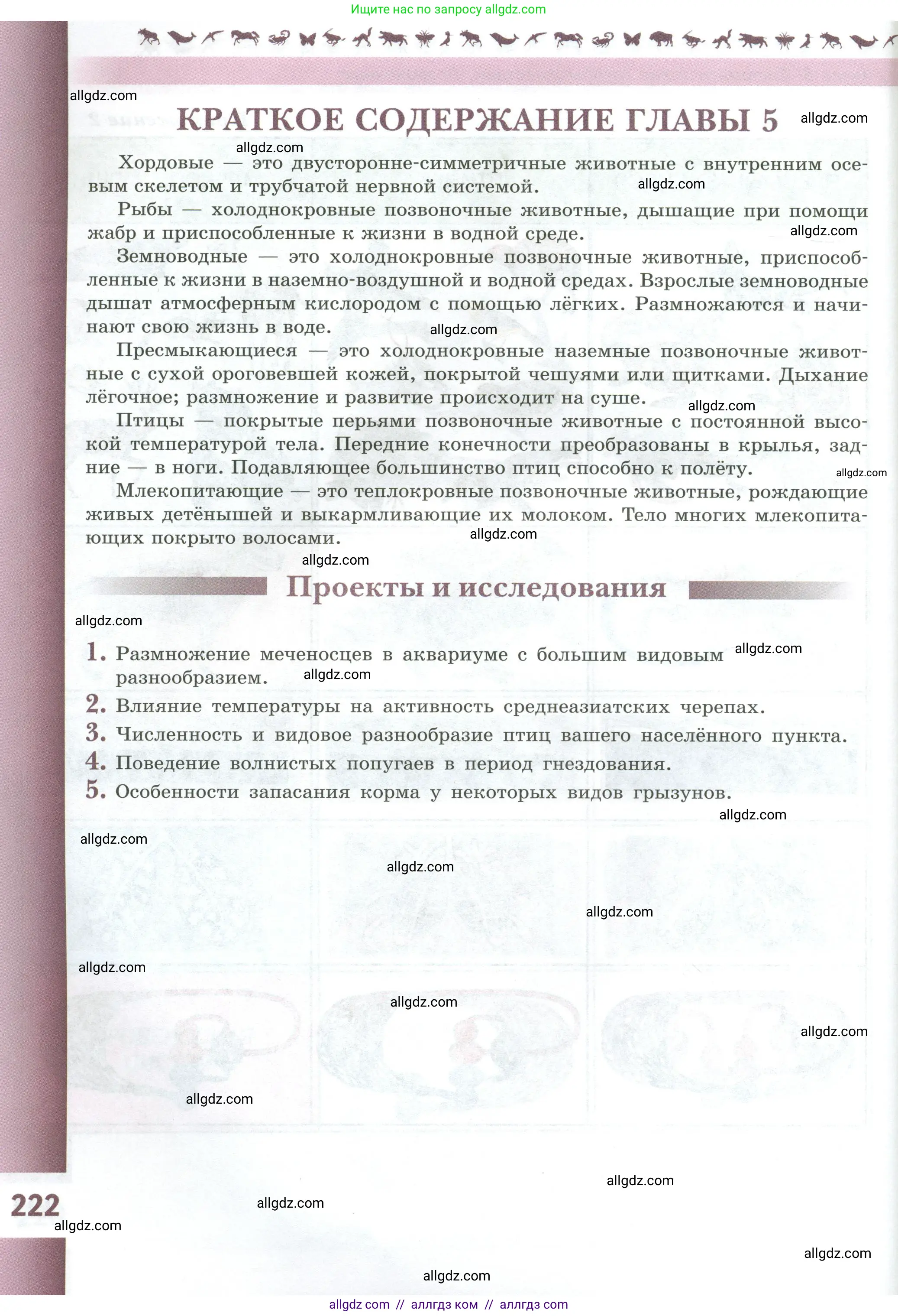 Биология, 8 класс Учебник, авторы: Пасечник Владимир Васильевич, Суматохин Сергей Витальевич, Гапонюк Зоя Георгиевна, издательство Просвещение, Москва, 2023, белого цвета, страница 222