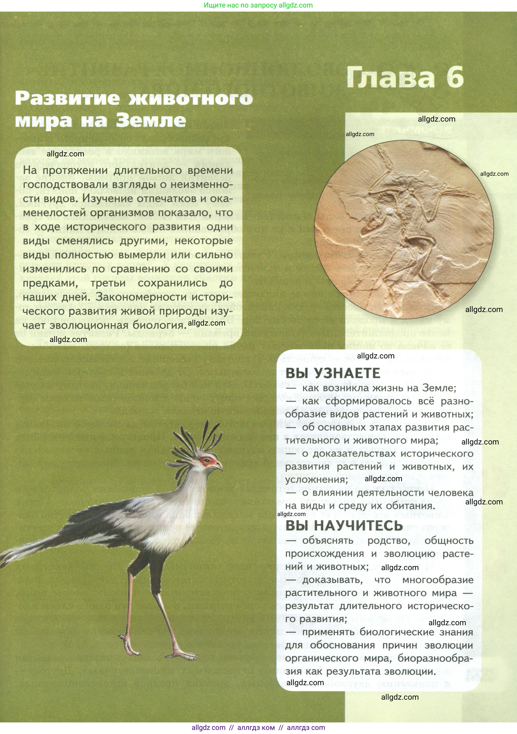 Биология, 8 класс Учебник, авторы: Пасечник Владимир Васильевич, Суматохин Сергей Витальевич, Гапонюк Зоя Георгиевна, издательство Просвещение, Москва, 2023, белого цвета, страница 223