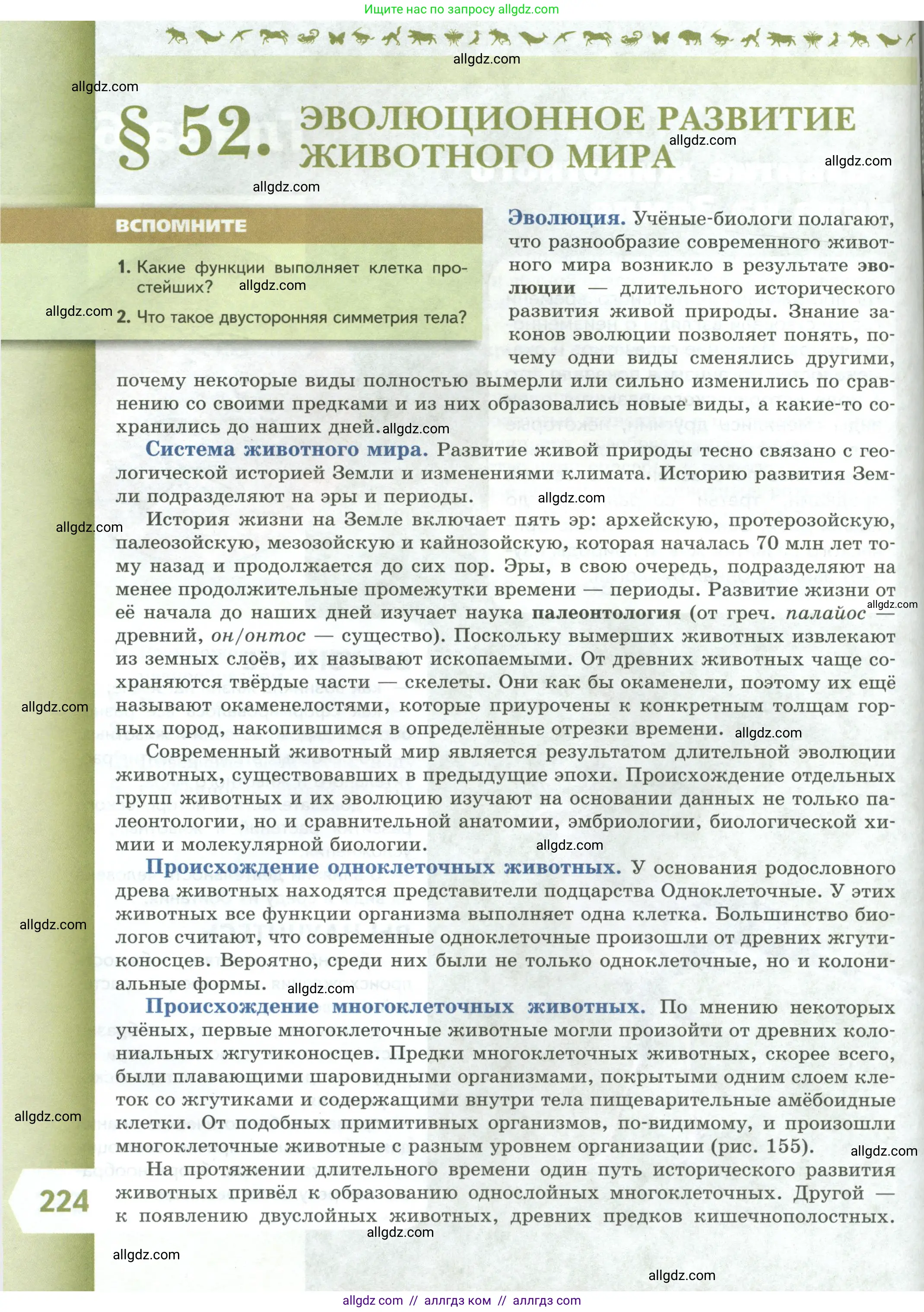 Биология, 8 класс Учебник, авторы: Пасечник Владимир Васильевич, Суматохин Сергей Витальевич, Гапонюк Зоя Георгиевна, издательство Просвещение, Москва, 2023, белого цвета, страница 224