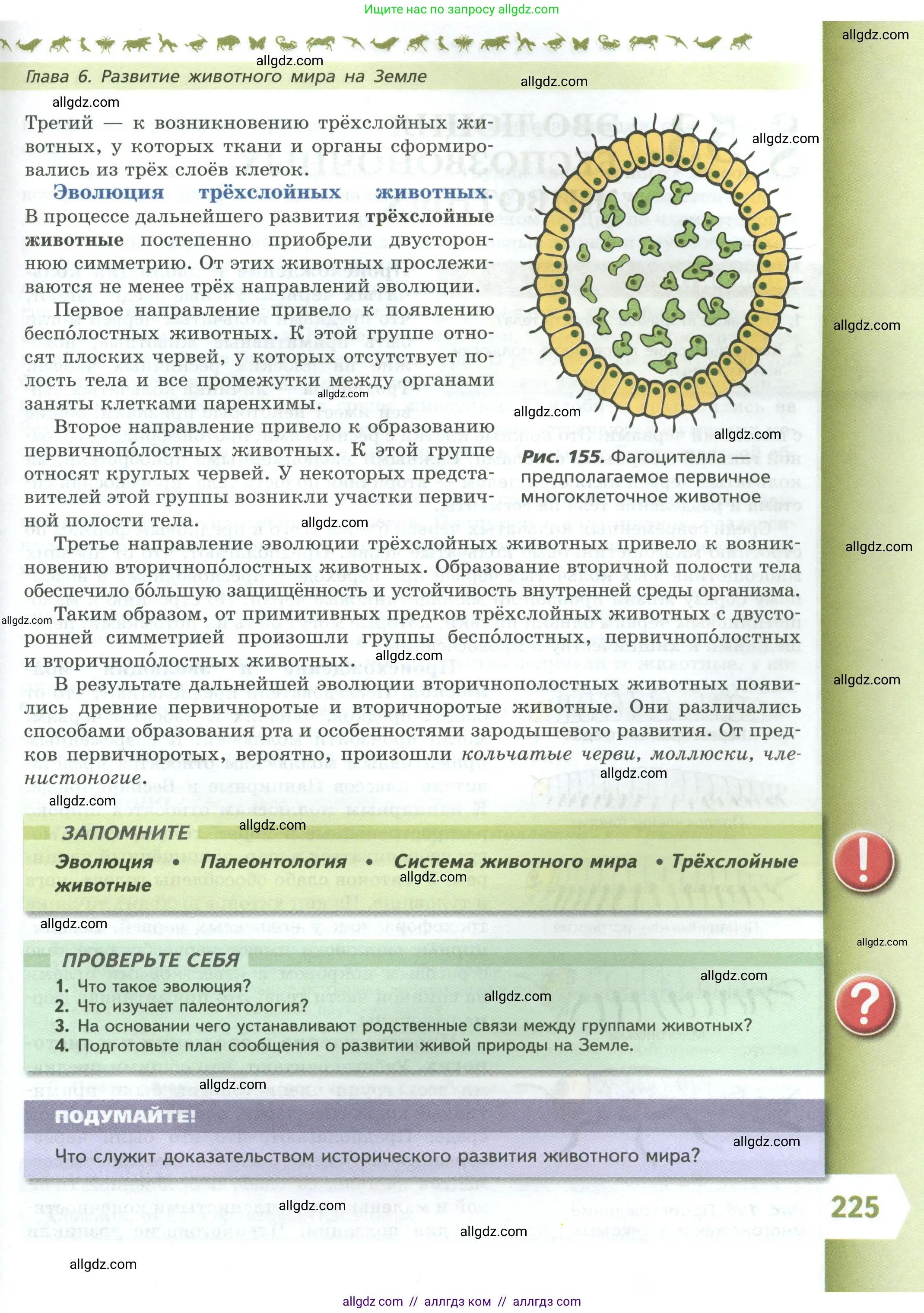 Биология, 8 класс Учебник, авторы: Пасечник Владимир Васильевич, Суматохин Сергей Витальевич, Гапонюк Зоя Георгиевна, издательство Просвещение, Москва, 2023, белого цвета, страница 225