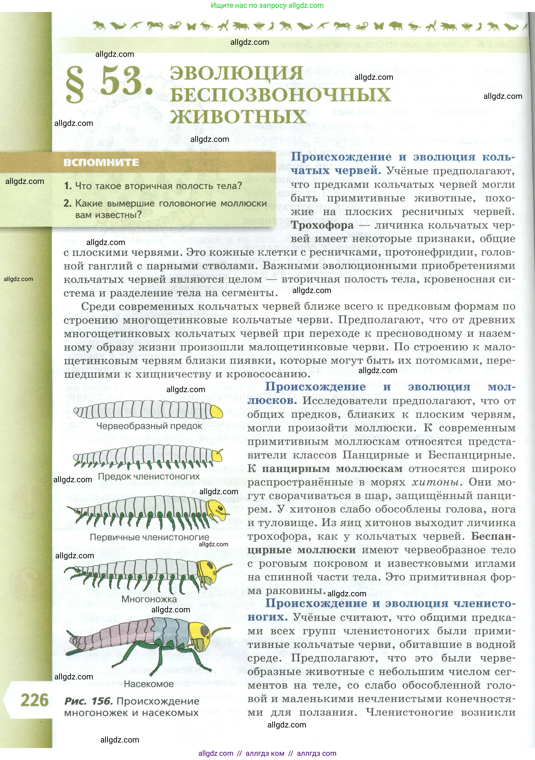 Биология, 8 класс Учебник, авторы: Пасечник Владимир Васильевич, Суматохин Сергей Витальевич, Гапонюк Зоя Георгиевна, издательство Просвещение, Москва, 2023, белого цвета, страница 226