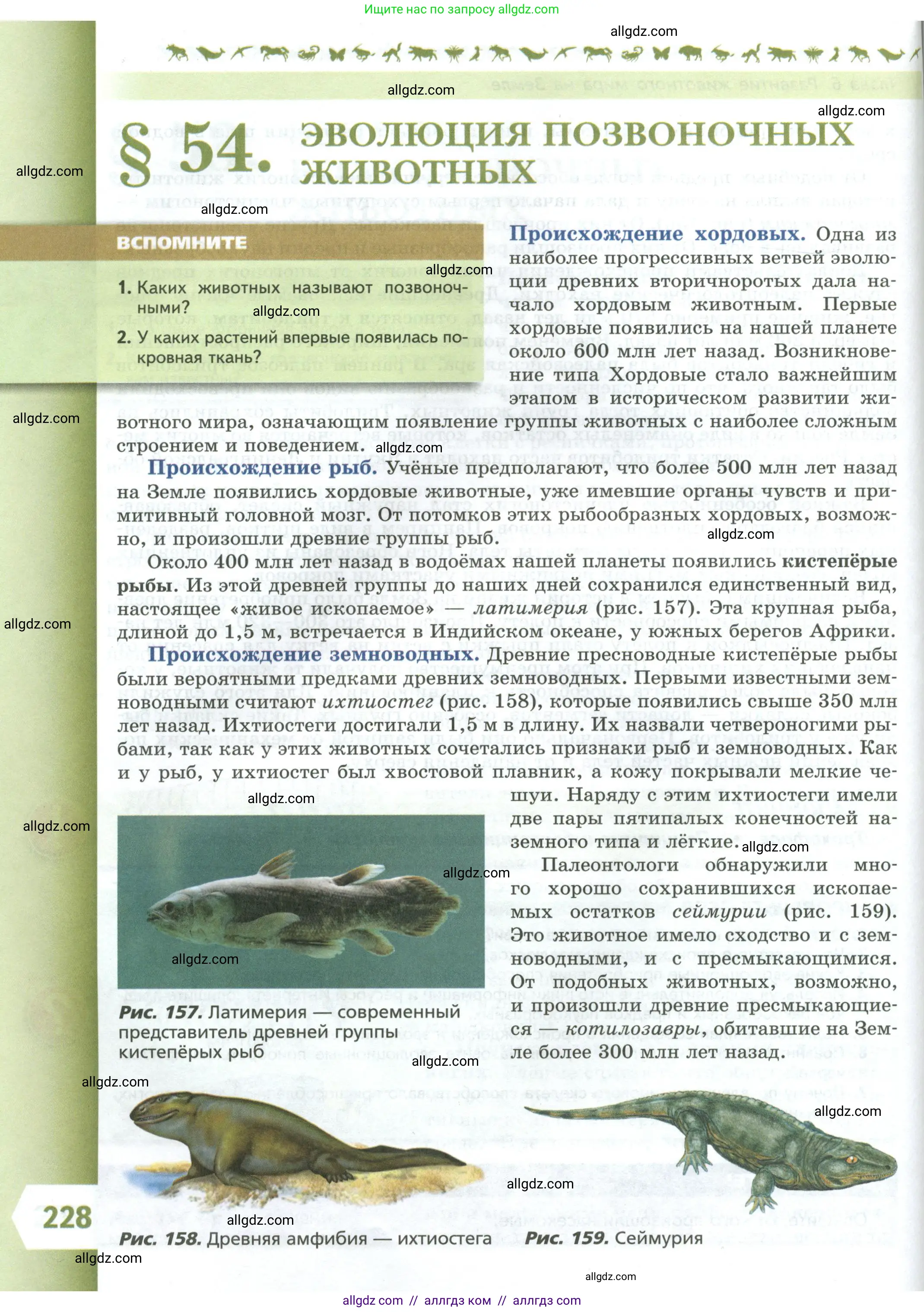 Биология, 8 класс Учебник, авторы: Пасечник Владимир Васильевич, Суматохин Сергей Витальевич, Гапонюк Зоя Георгиевна, издательство Просвещение, Москва, 2023, белого цвета, страница 228