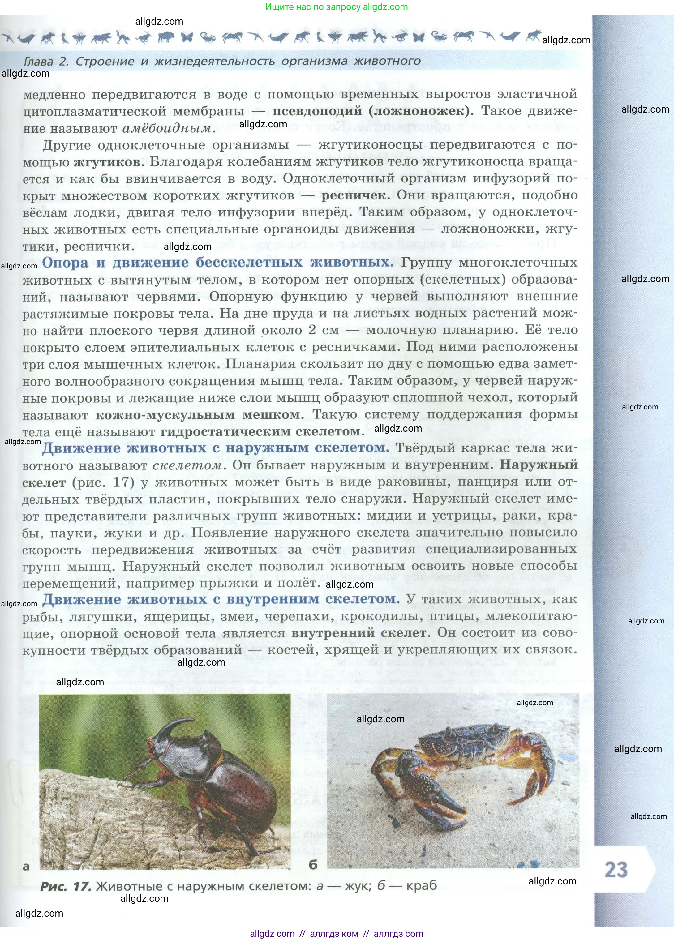 Биология, 8 класс Учебник, авторы: Пасечник Владимир Васильевич, Суматохин Сергей Витальевич, Гапонюк Зоя Георгиевна, издательство Просвещение, Москва, 2023, белого цвета, страница 23