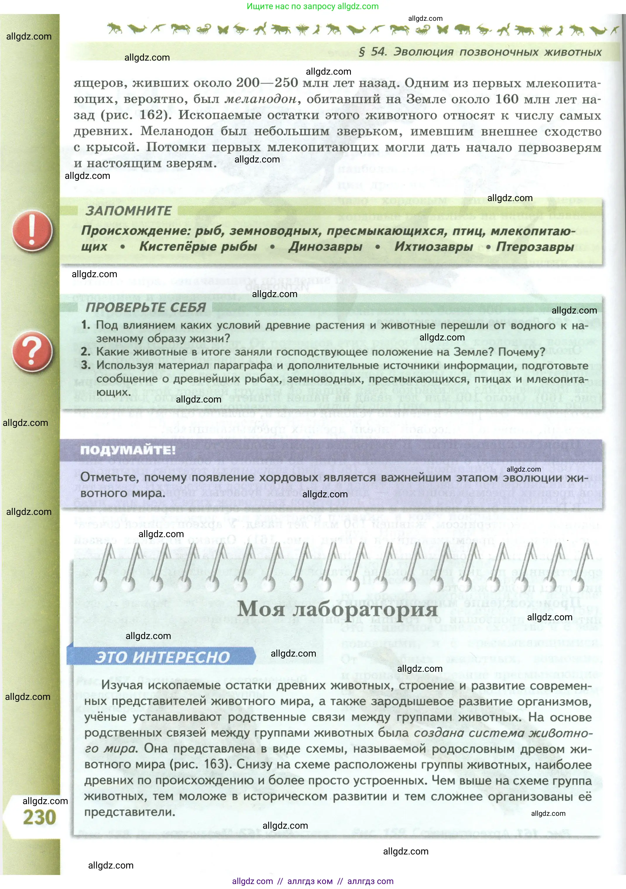 Биология, 8 класс Учебник, авторы: Пасечник Владимир Васильевич, Суматохин Сергей Витальевич, Гапонюк Зоя Георгиевна, издательство Просвещение, Москва, 2023, белого цвета, страница 230