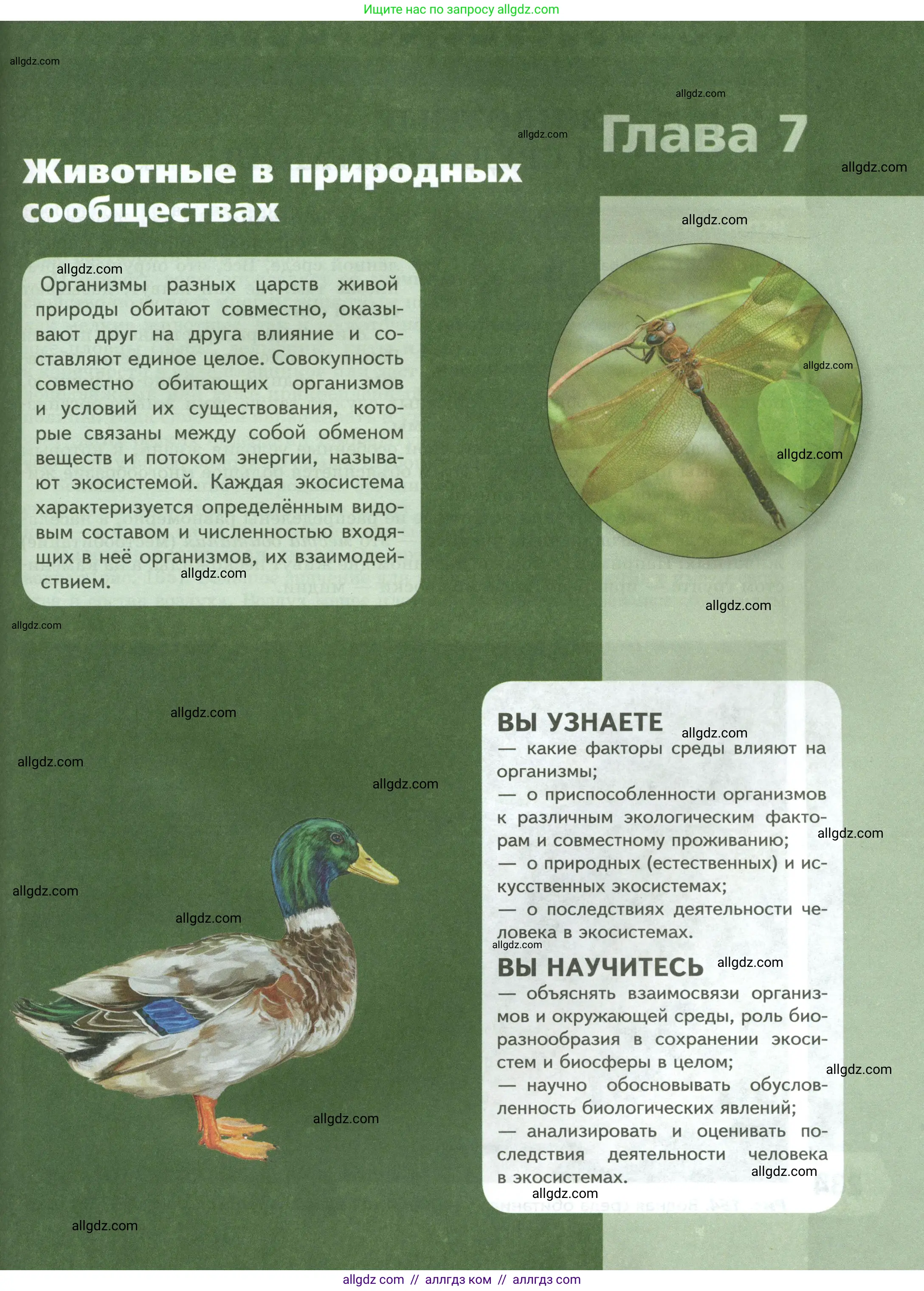 Биология, 8 класс Учебник, авторы: Пасечник Владимир Васильевич, Суматохин Сергей Витальевич, Гапонюк Зоя Георгиевна, издательство Просвещение, Москва, 2023, белого цвета, страница 233