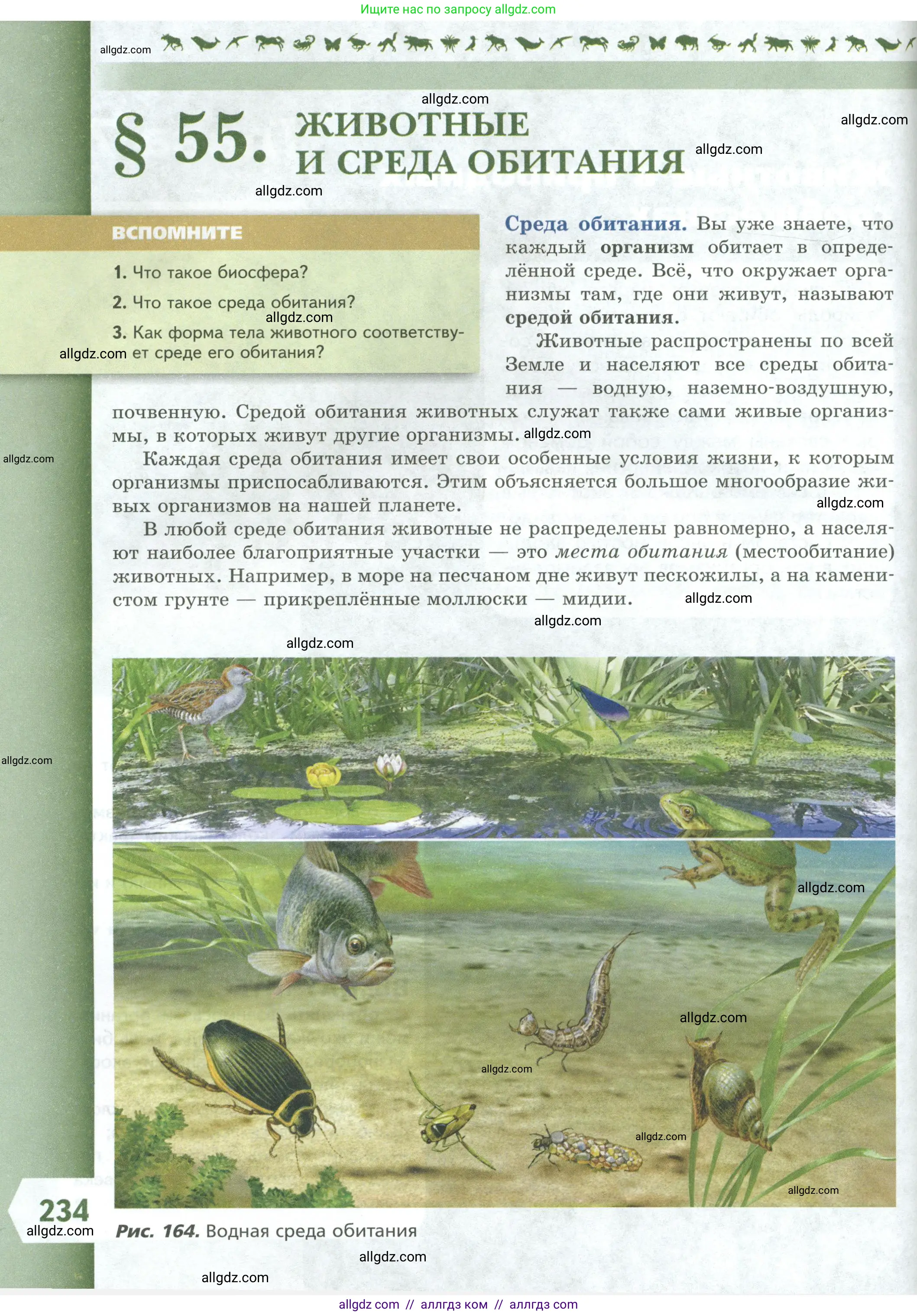 Биология, 8 класс Учебник, авторы: Пасечник Владимир Васильевич, Суматохин Сергей Витальевич, Гапонюк Зоя Георгиевна, издательство Просвещение, Москва, 2023, белого цвета, страница 234