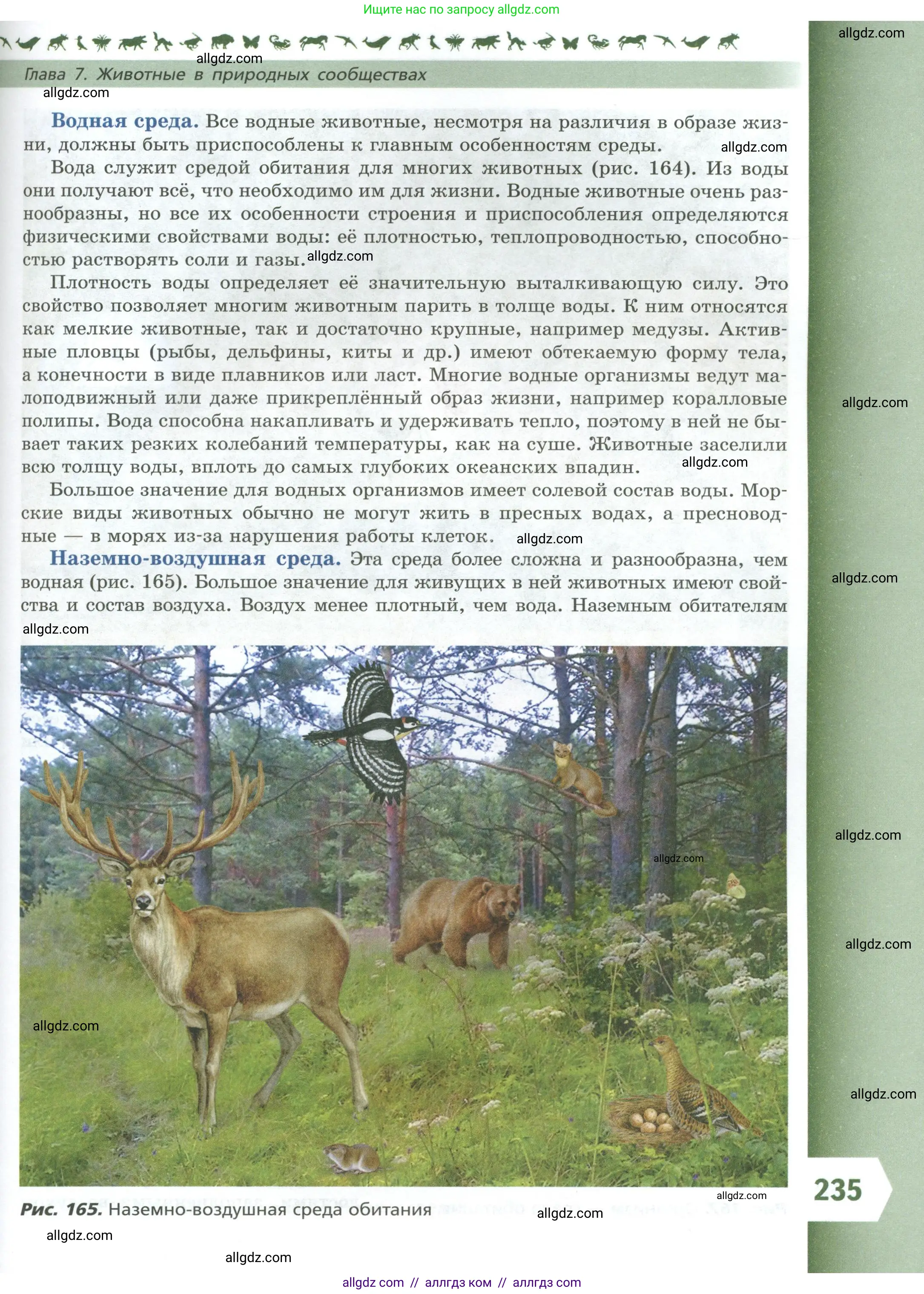 Биология, 8 класс Учебник, авторы: Пасечник Владимир Васильевич, Суматохин Сергей Витальевич, Гапонюк Зоя Георгиевна, издательство Просвещение, Москва, 2023, белого цвета, страница 235