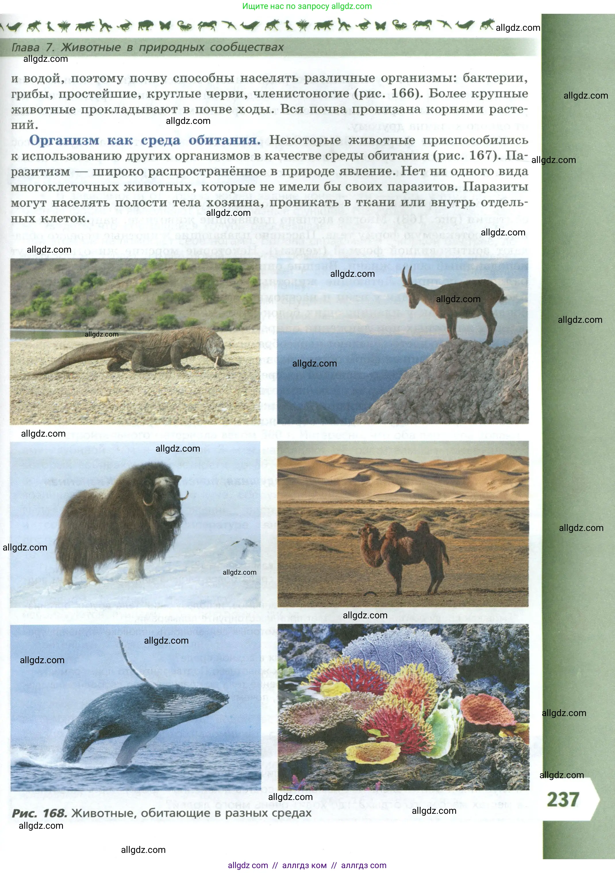 Биология, 8 класс Учебник, авторы: Пасечник Владимир Васильевич, Суматохин Сергей Витальевич, Гапонюк Зоя Георгиевна, издательство Просвещение, Москва, 2023, белого цвета, страница 237