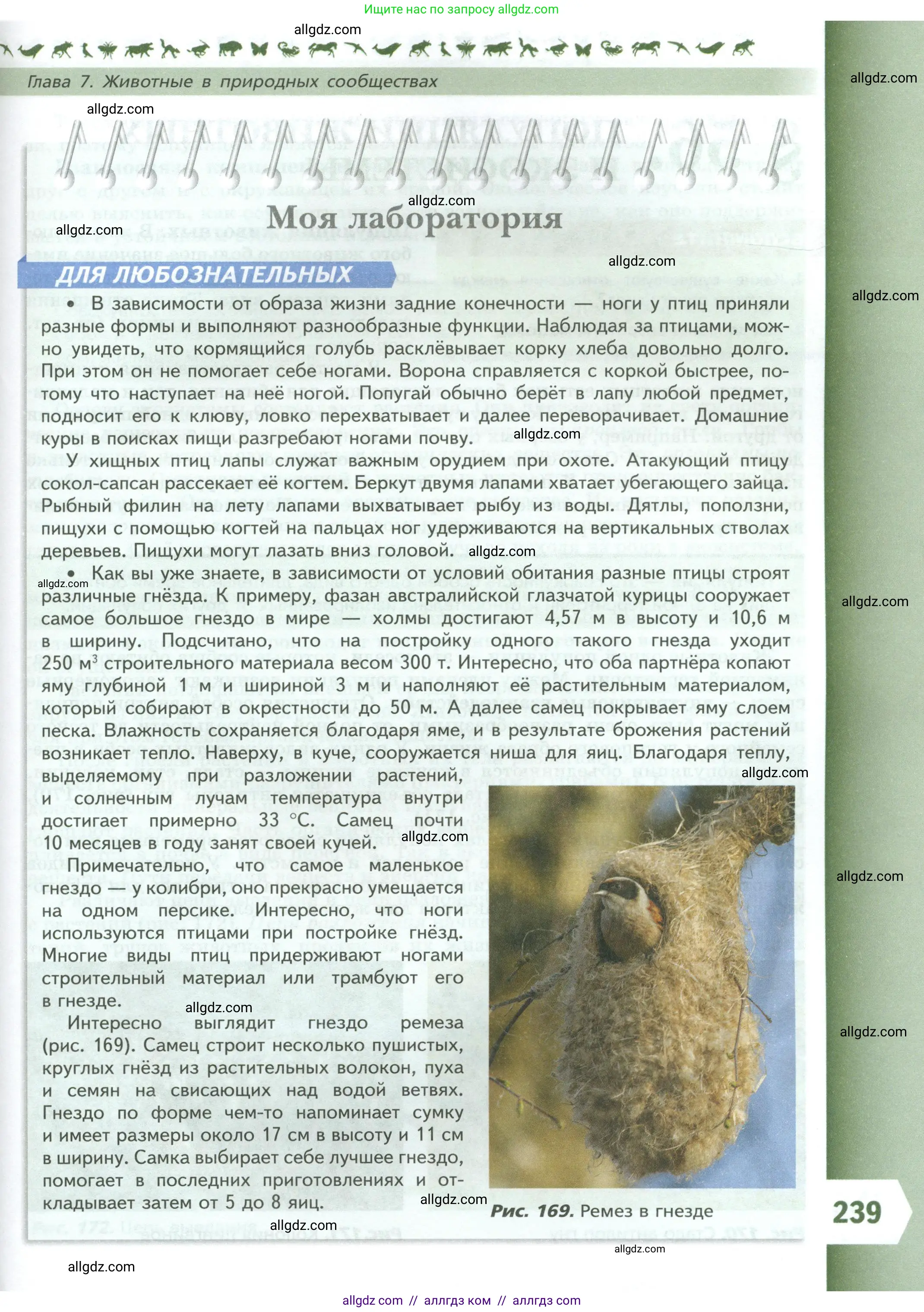 Биология, 8 класс Учебник, авторы: Пасечник Владимир Васильевич, Суматохин Сергей Витальевич, Гапонюк Зоя Георгиевна, издательство Просвещение, Москва, 2023, белого цвета, страница 239