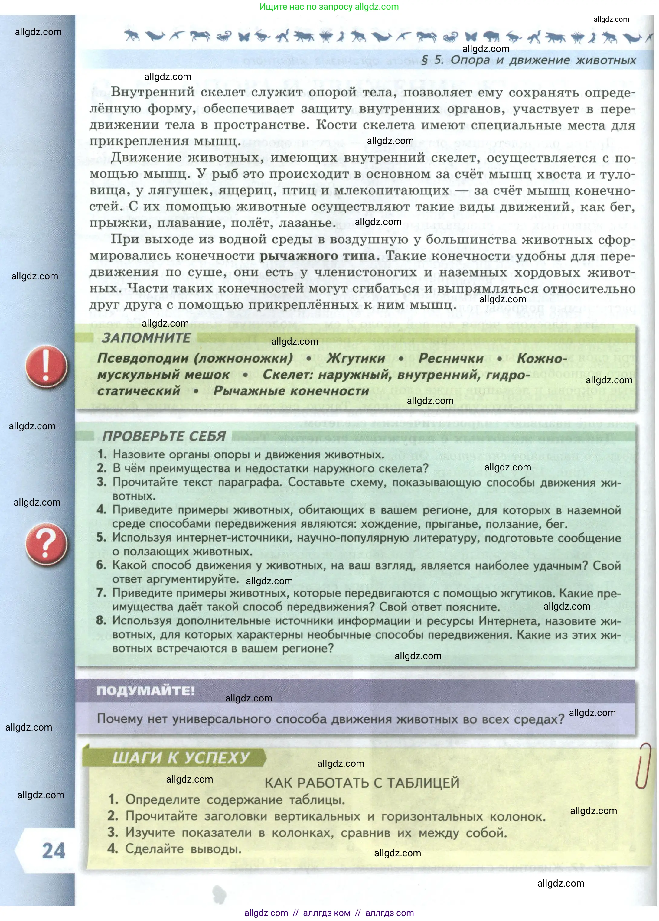 Биология, 8 класс Учебник, авторы: Пасечник Владимир Васильевич, Суматохин Сергей Витальевич, Гапонюк Зоя Георгиевна, издательство Просвещение, Москва, 2023, белого цвета, страница 24