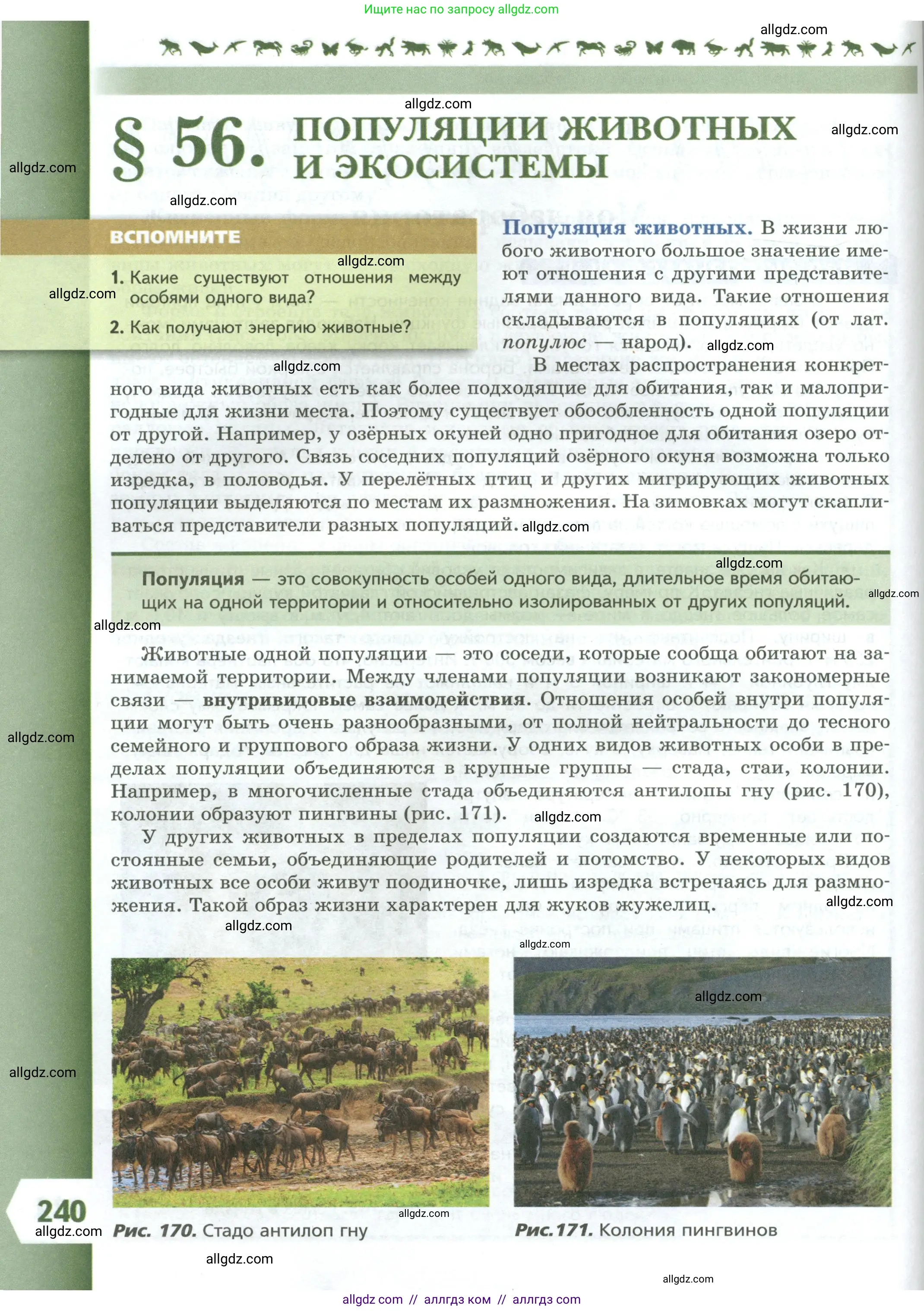 Биология, 8 класс Учебник, авторы: Пасечник Владимир Васильевич, Суматохин Сергей Витальевич, Гапонюк Зоя Георгиевна, издательство Просвещение, Москва, 2023, белого цвета, страница 240