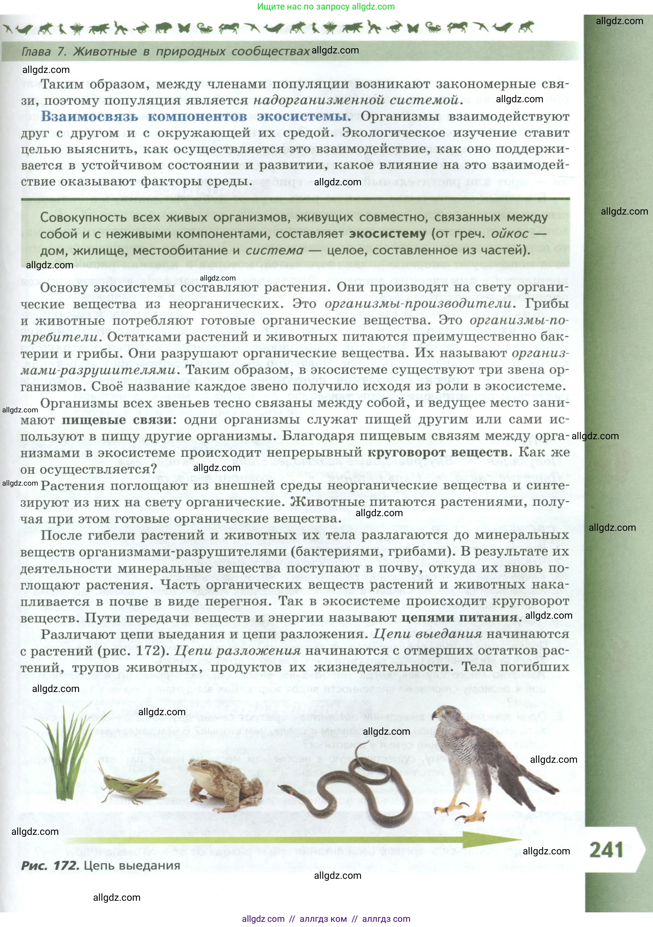Биология, 8 класс Учебник, авторы: Пасечник Владимир Васильевич, Суматохин Сергей Витальевич, Гапонюк Зоя Георгиевна, издательство Просвещение, Москва, 2023, белого цвета, страница 241