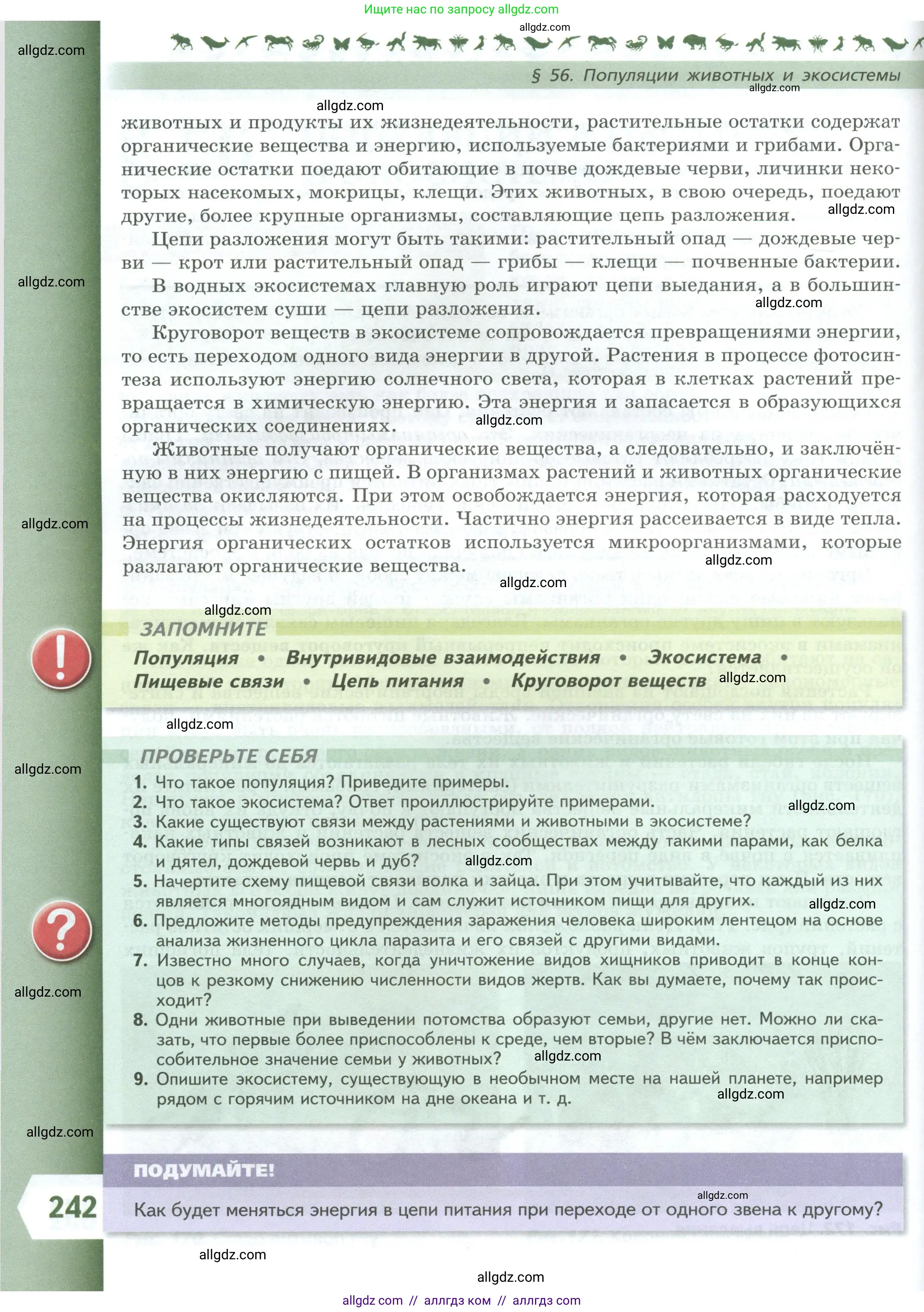 Биология, 8 класс Учебник, авторы: Пасечник Владимир Васильевич, Суматохин Сергей Витальевич, Гапонюк Зоя Георгиевна, издательство Просвещение, Москва, 2023, белого цвета, страница 242