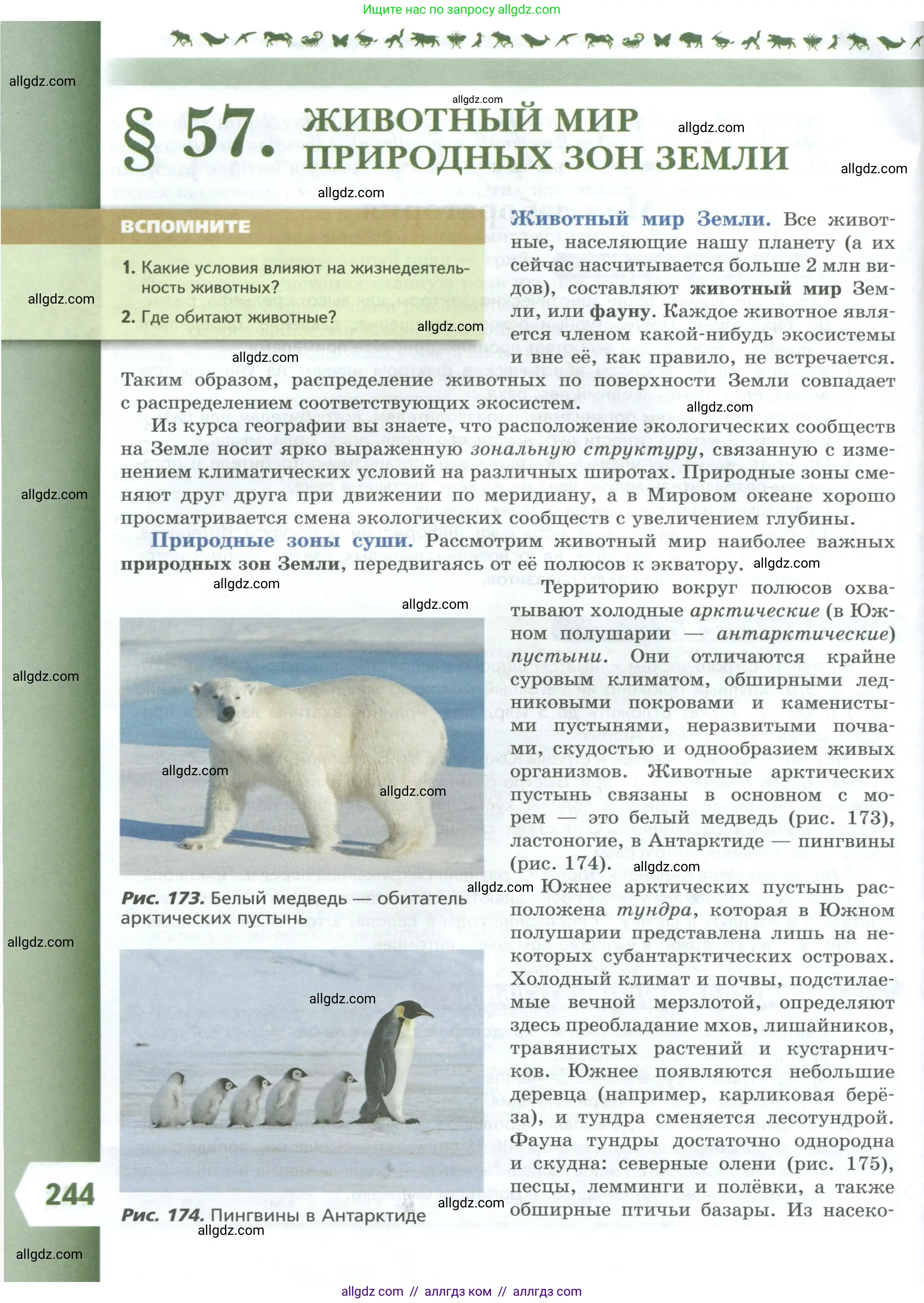 Биология, 8 класс Учебник, авторы: Пасечник Владимир Васильевич, Суматохин Сергей Витальевич, Гапонюк Зоя Георгиевна, издательство Просвещение, Москва, 2023, белого цвета, страница 244