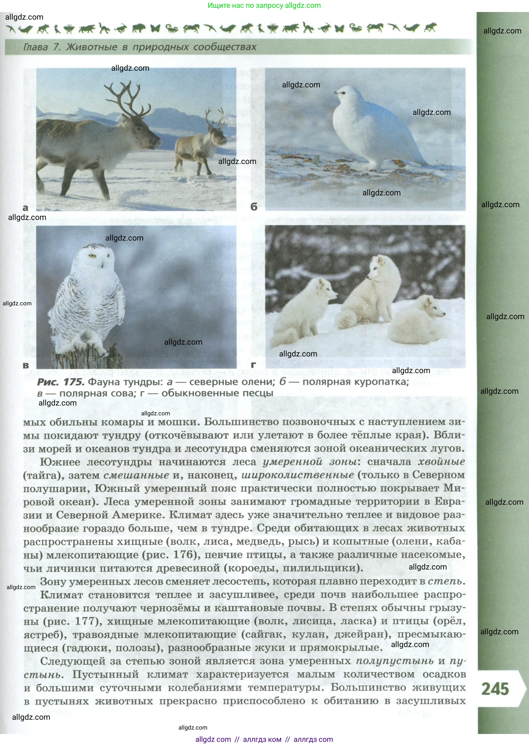 Биология, 8 класс Учебник, авторы: Пасечник Владимир Васильевич, Суматохин Сергей Витальевич, Гапонюк Зоя Георгиевна, издательство Просвещение, Москва, 2023, белого цвета, страница 245